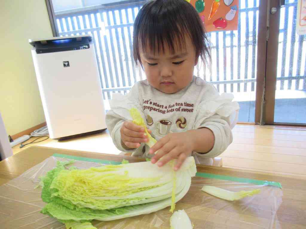 ちぎるの楽しいな～