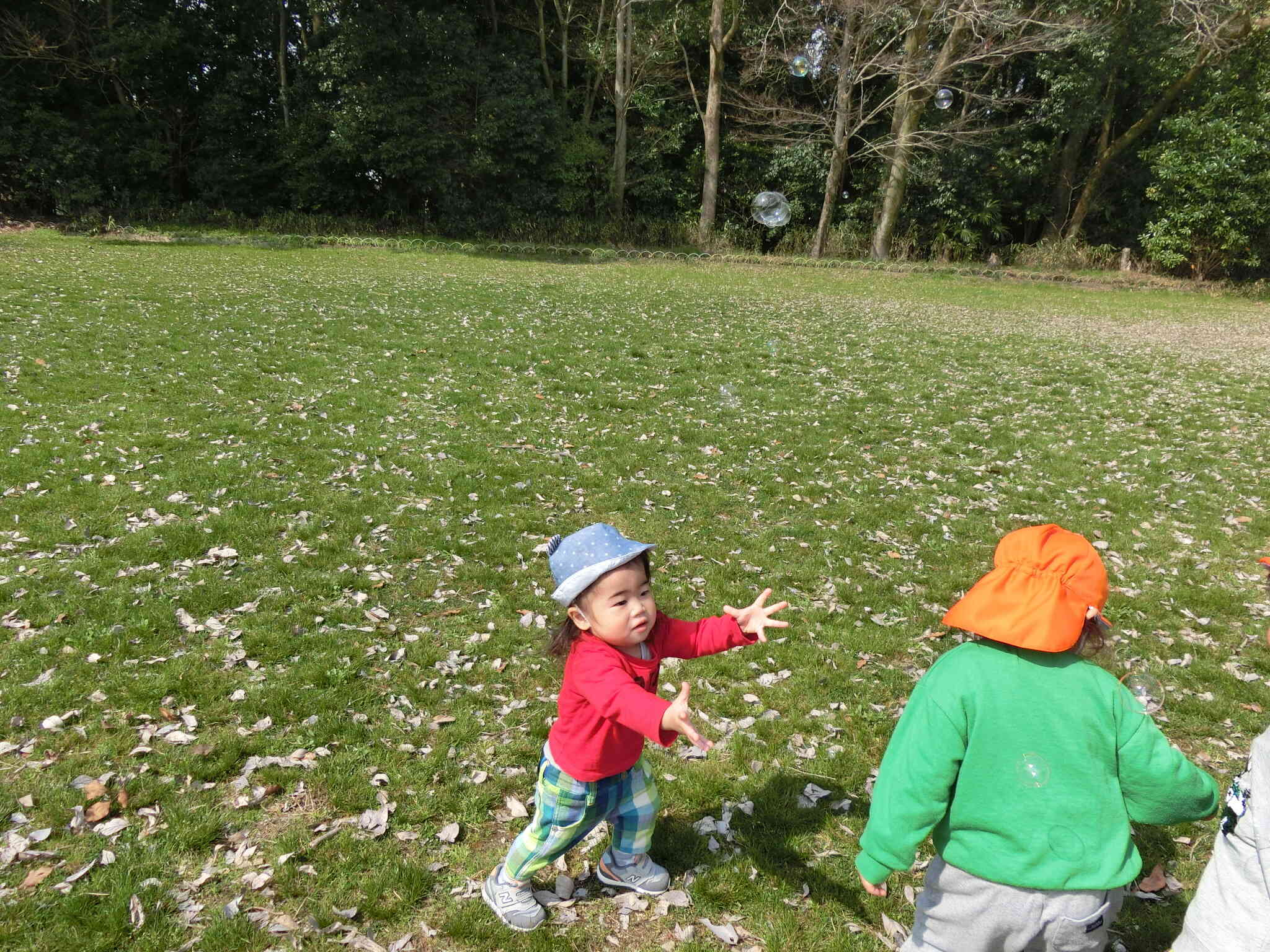 捕まえるぞー！