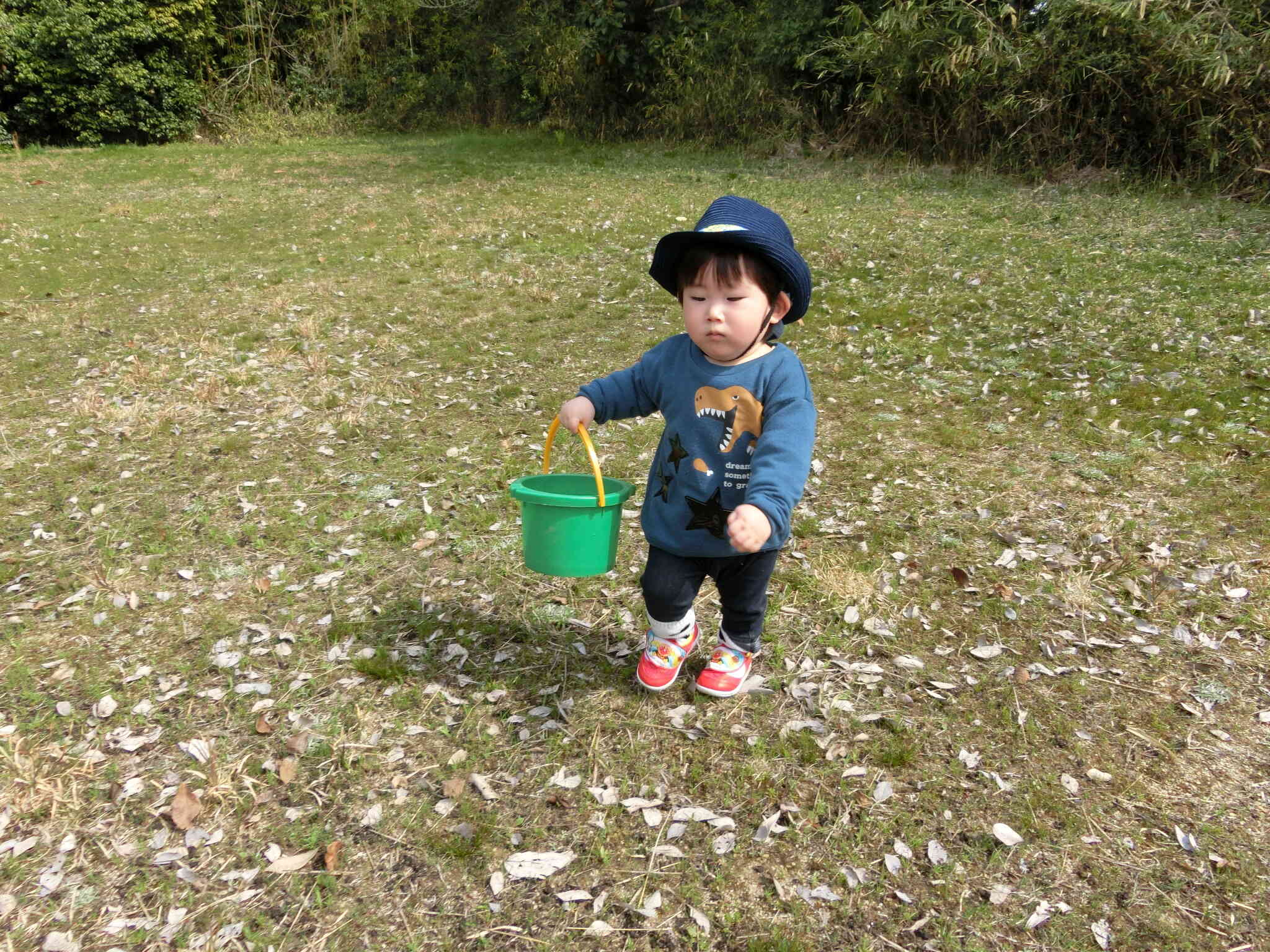 いろんな物を探しにいくぞー