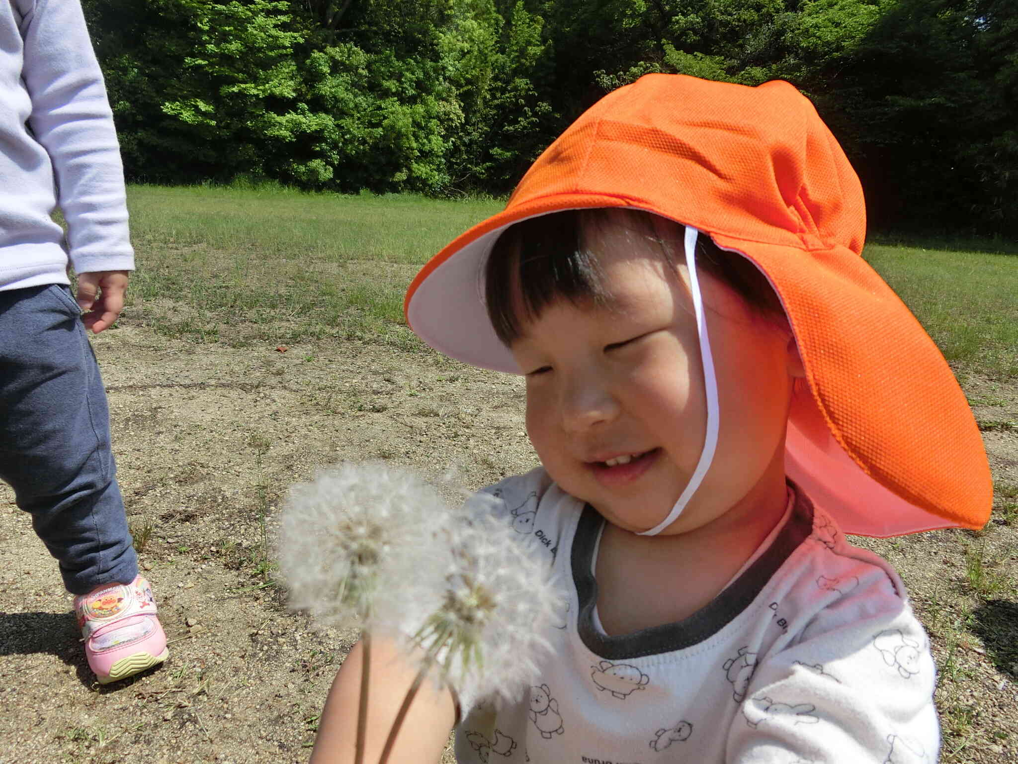 ふわふわ綿毛♡