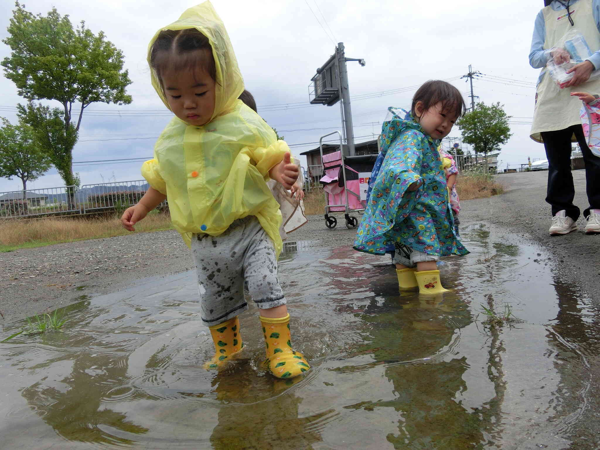 水に輪っかが！！