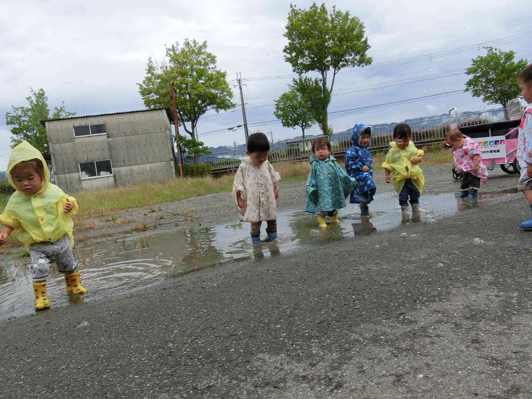 あひる組　雨の日の散歩☆