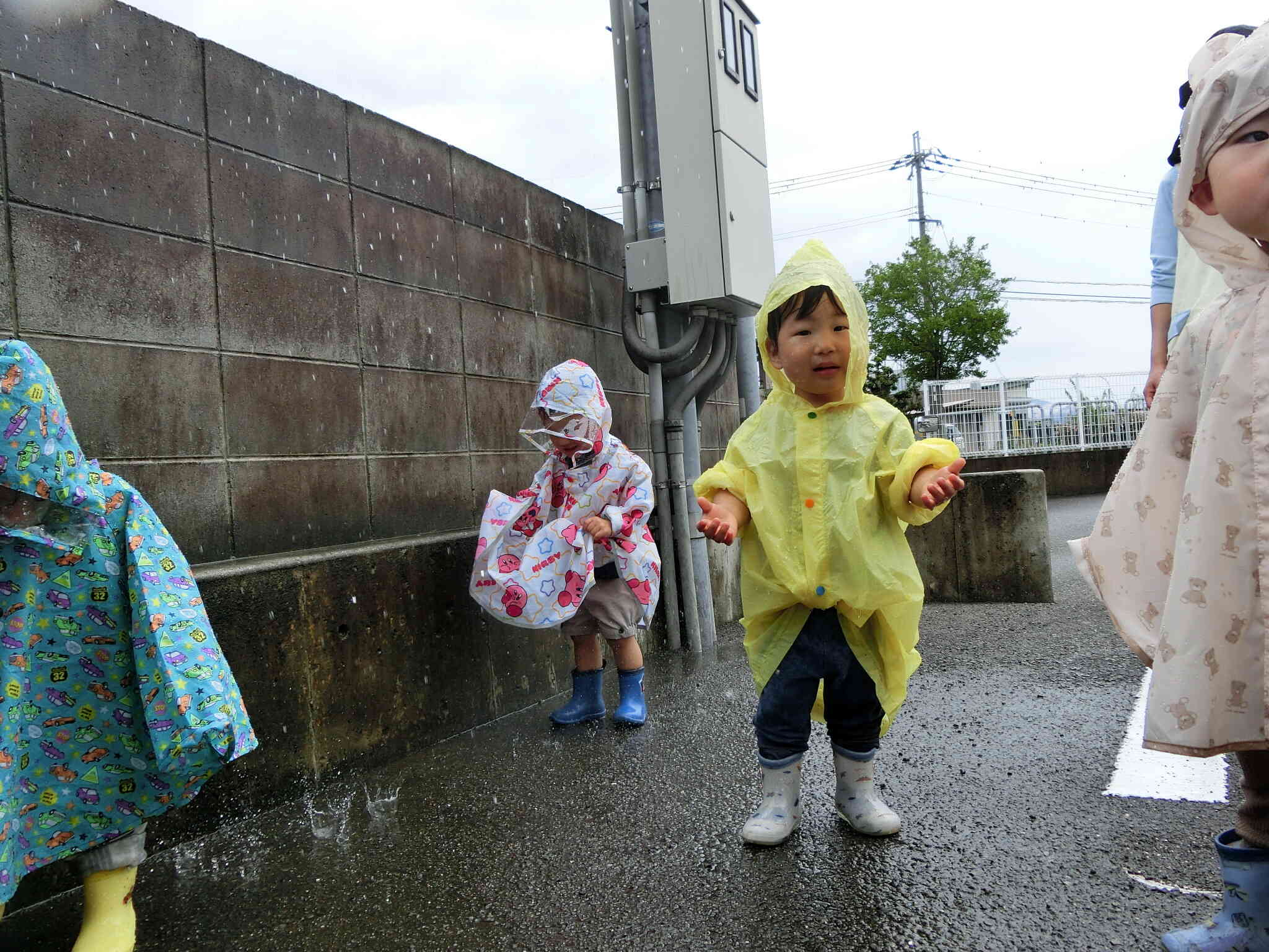うわー雨だ☆