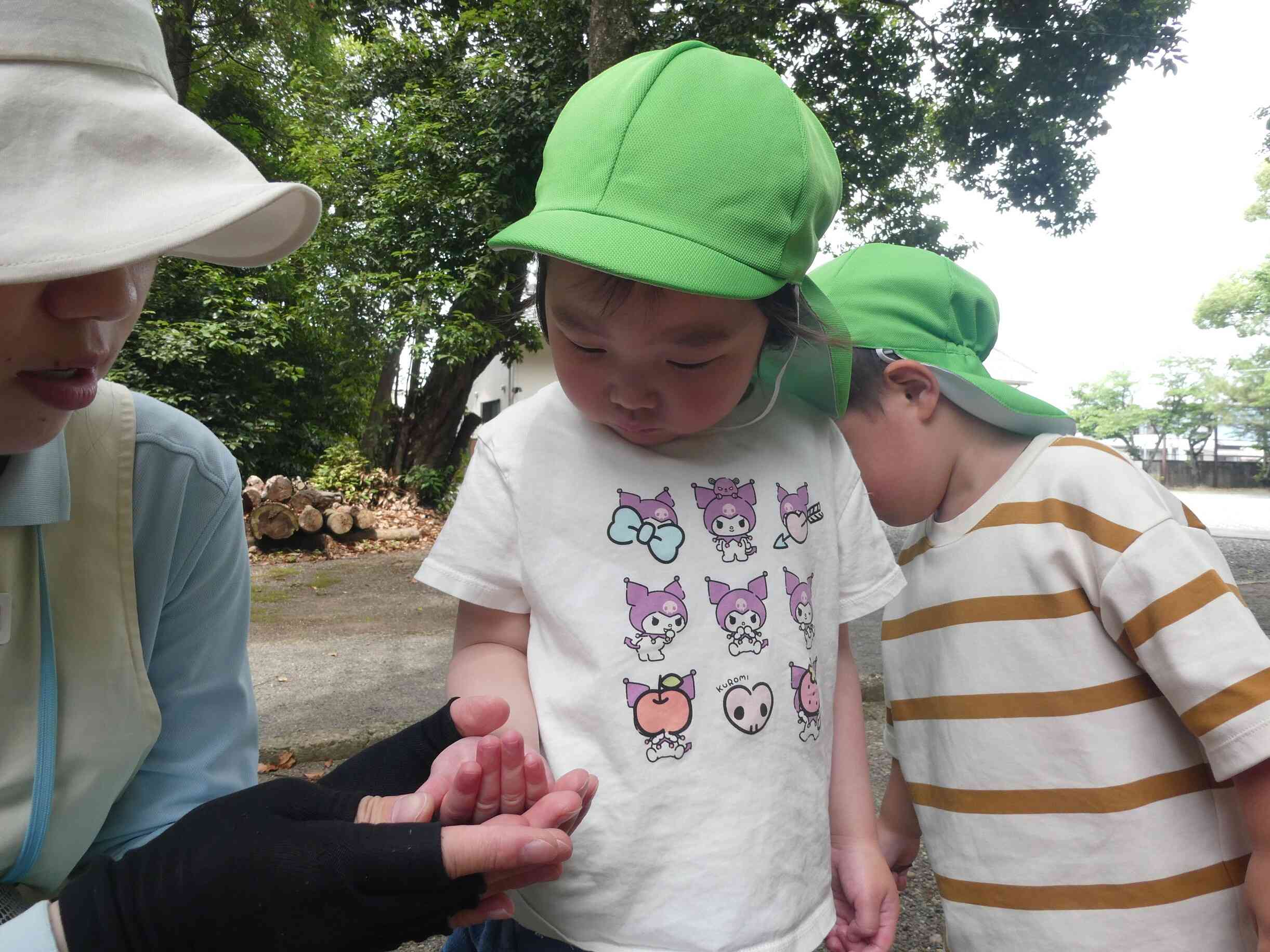 神社にもダンゴムシ発見！