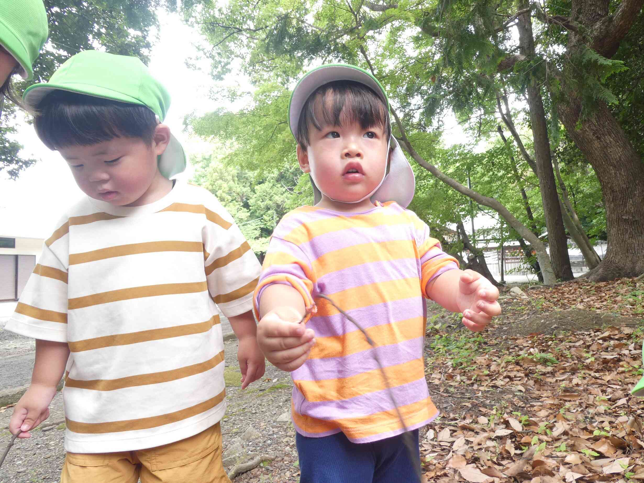 細い木の枝を見つけたよ、そうっとね