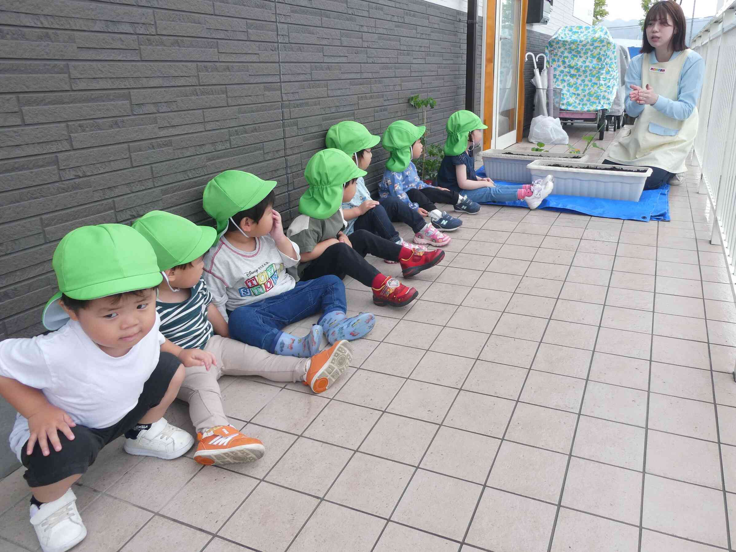 うさぎ組　野菜の苗を植えよう！