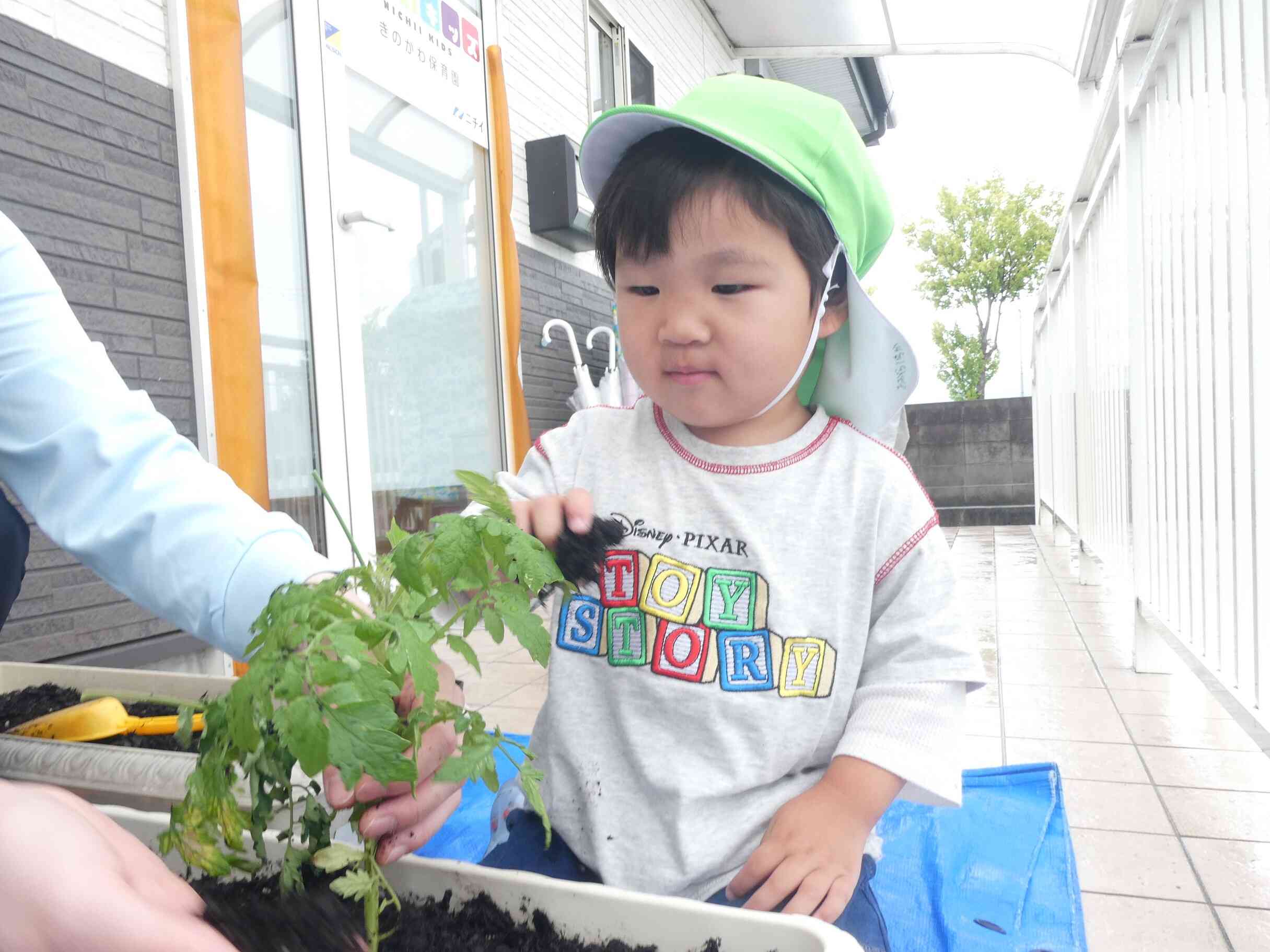 土をかけるよ☆