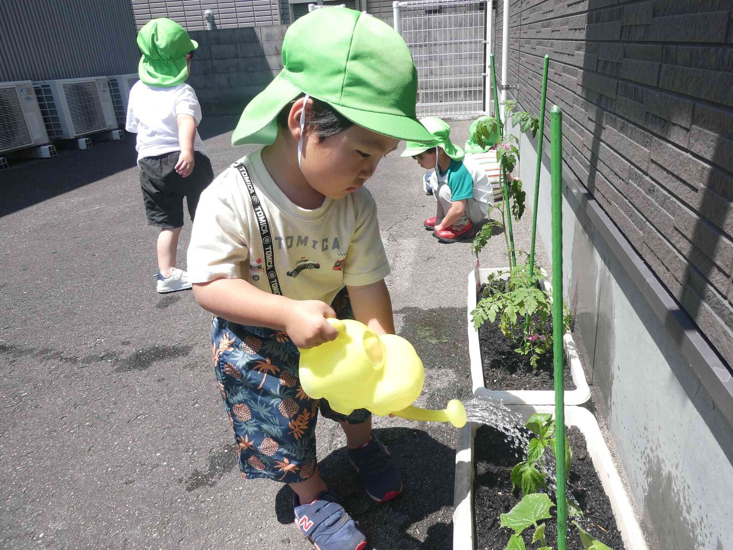うさぎ組　野菜大きくなーれ！