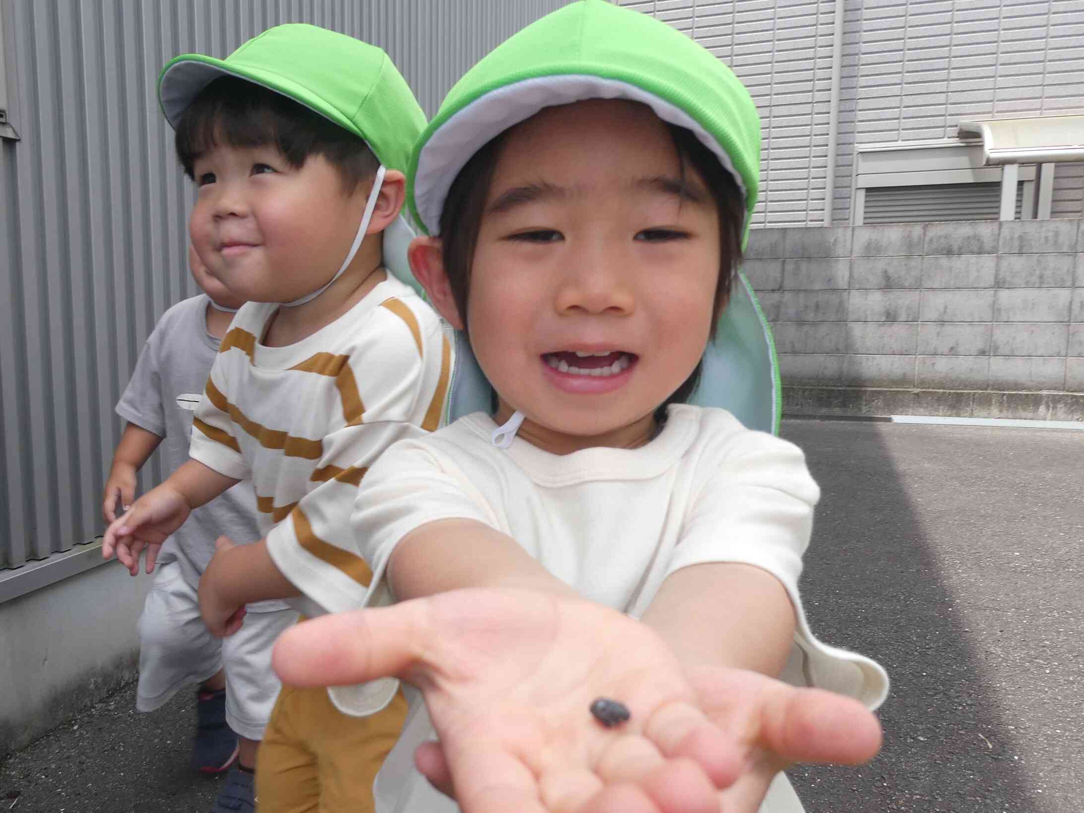 見て、石を見つけたよ
