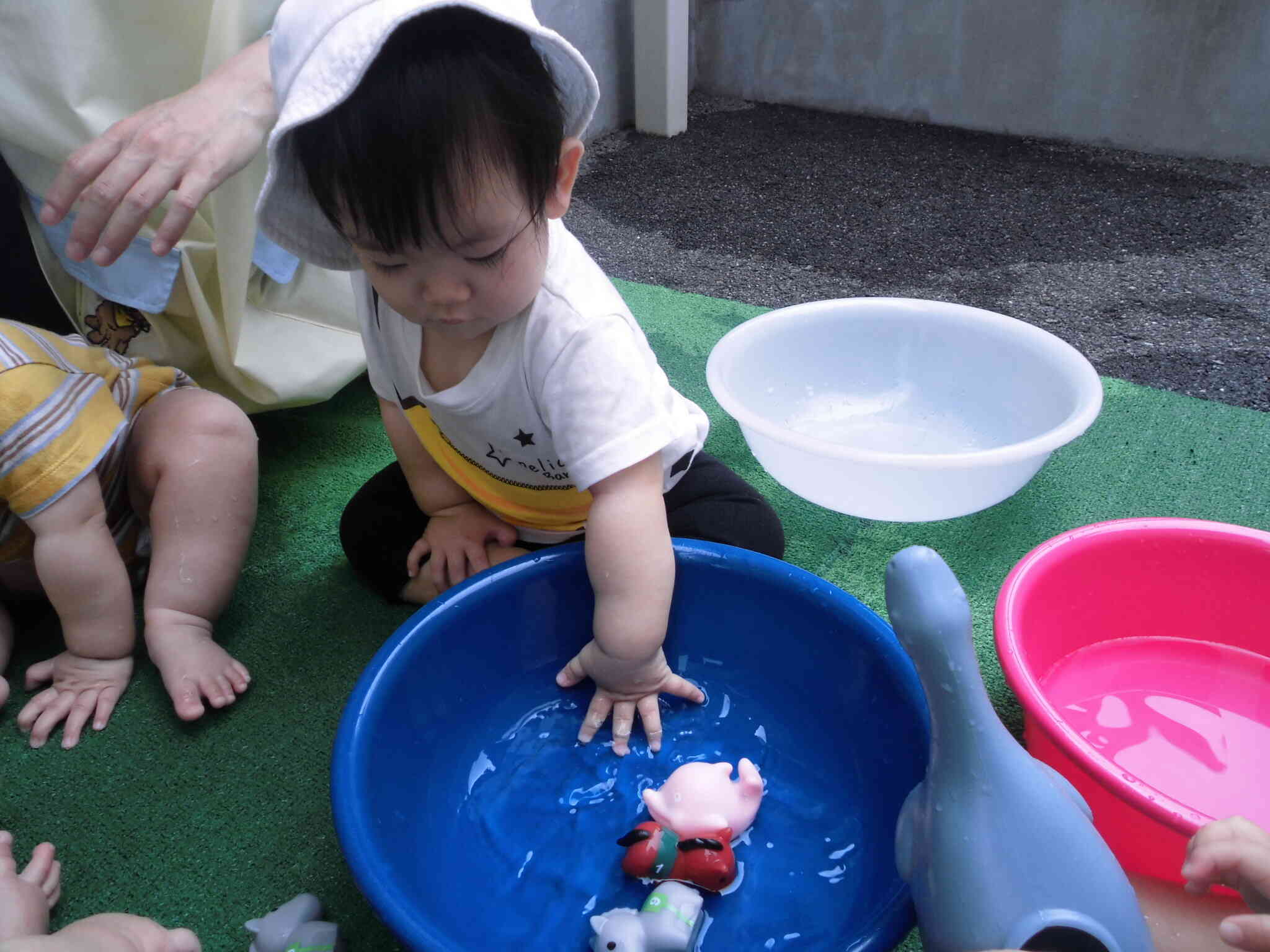 ひよこ組 たくさん遊んだよ！｜ニチイキッズきのかわ保育園｜ニチイキッズ