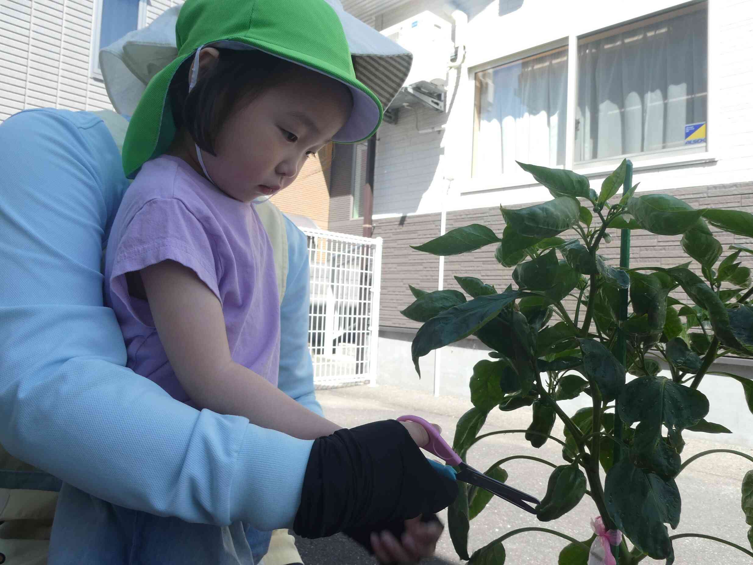 難しい…