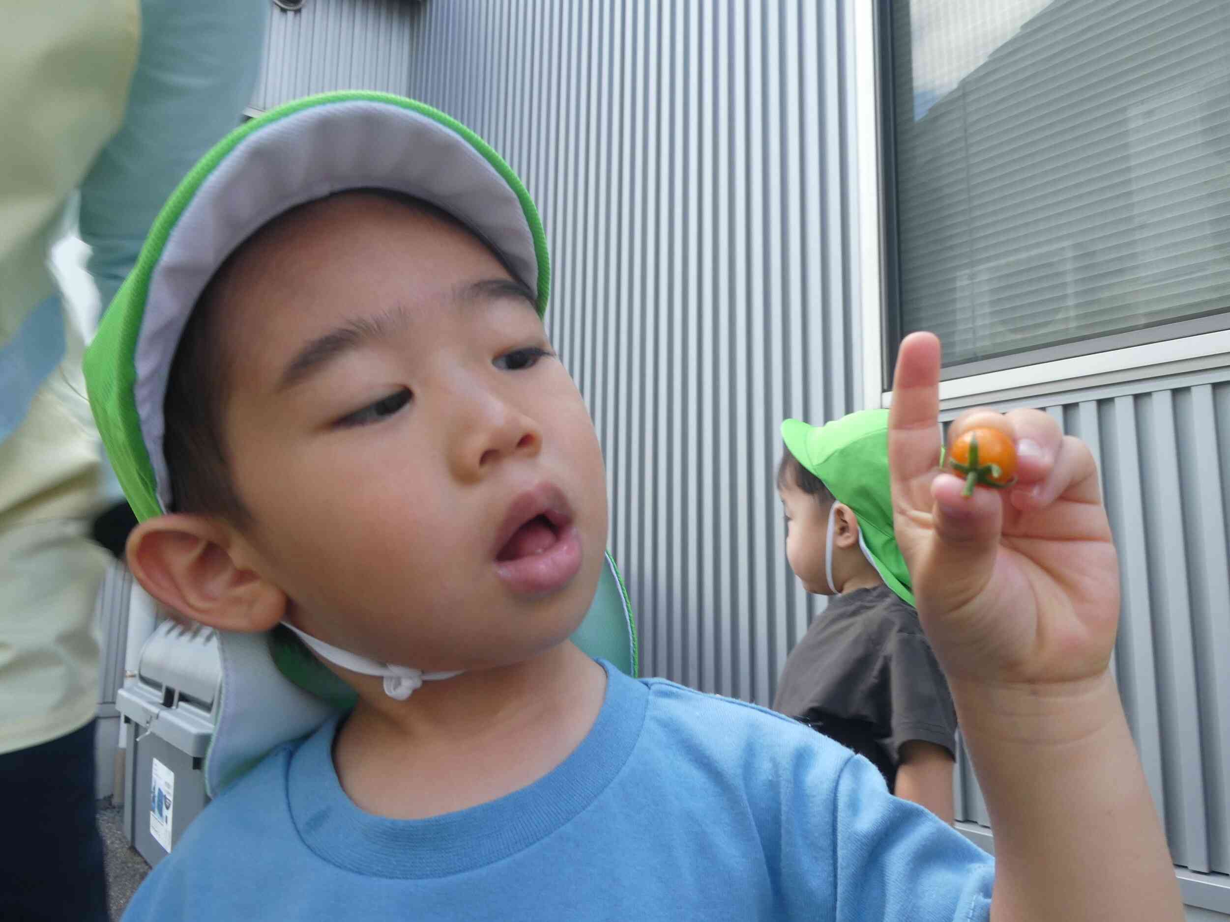真っ赤なトマト♪