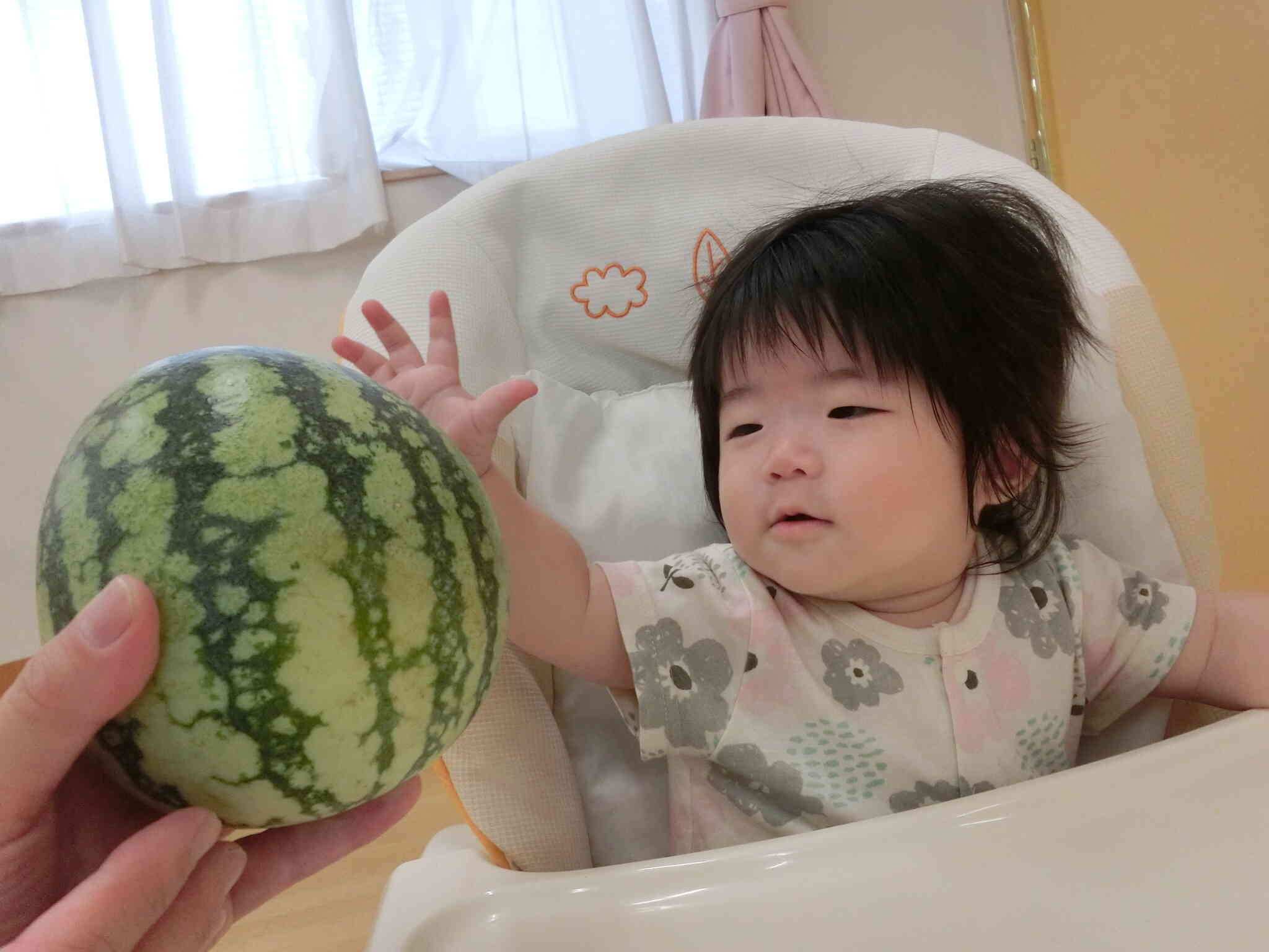ひよこ組　お野菜いっぱい