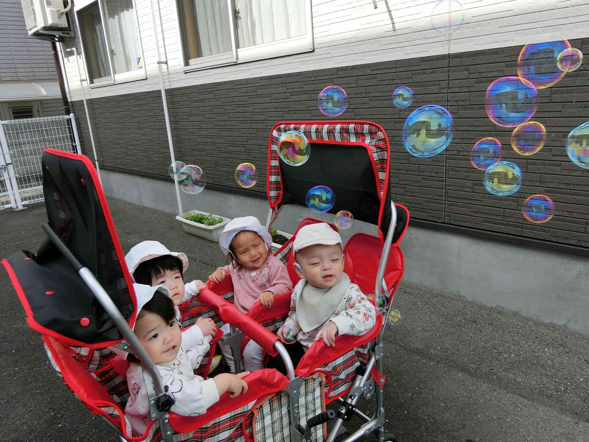 ひよこ組　お外は楽しいね♪