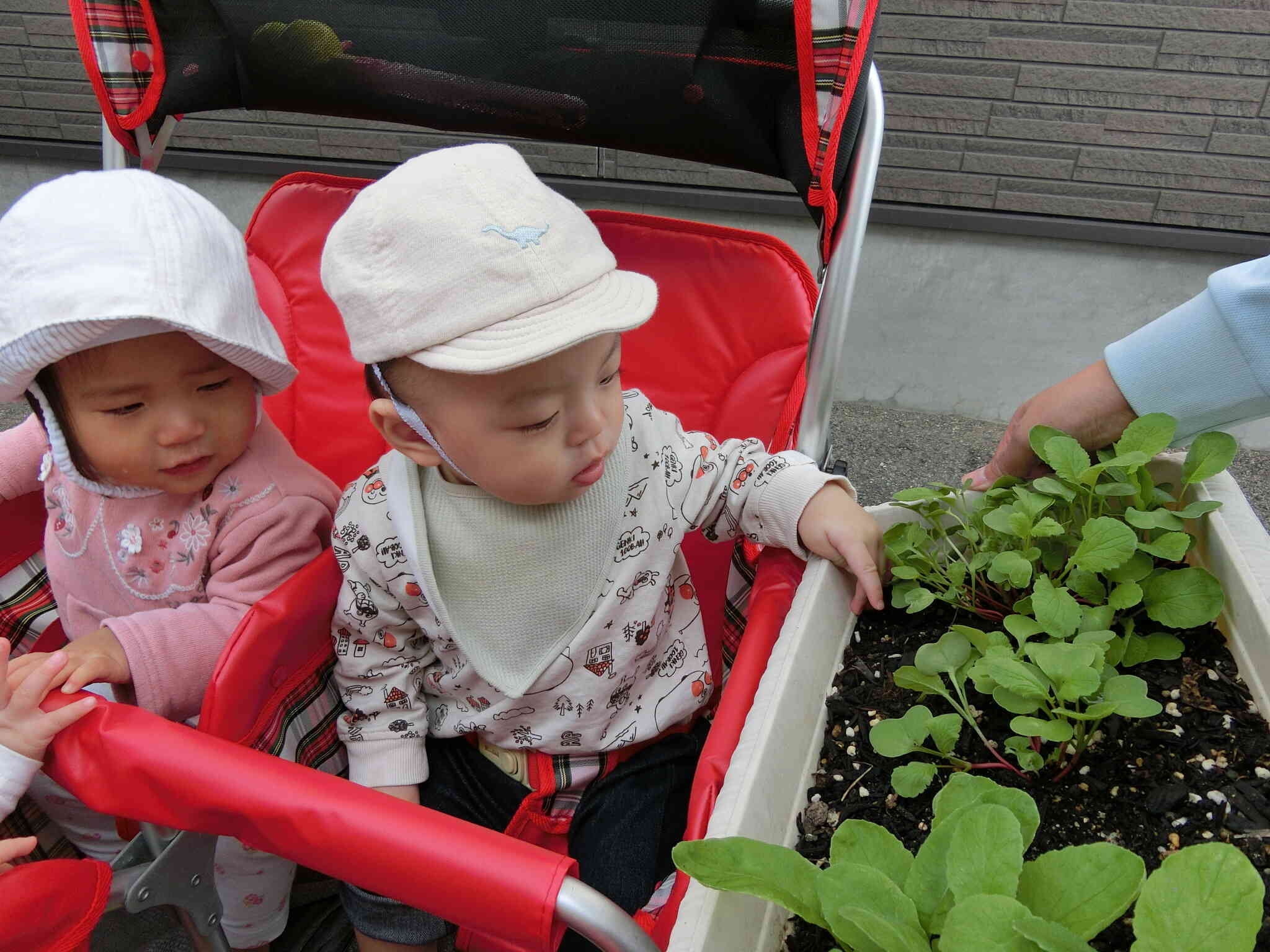大きく育ちますように♡