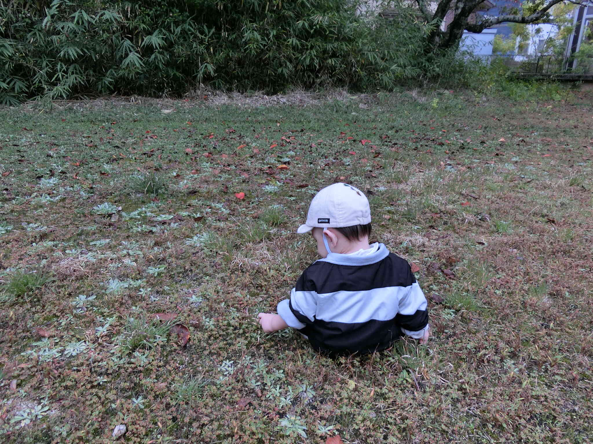 なにか見つけたのかな？