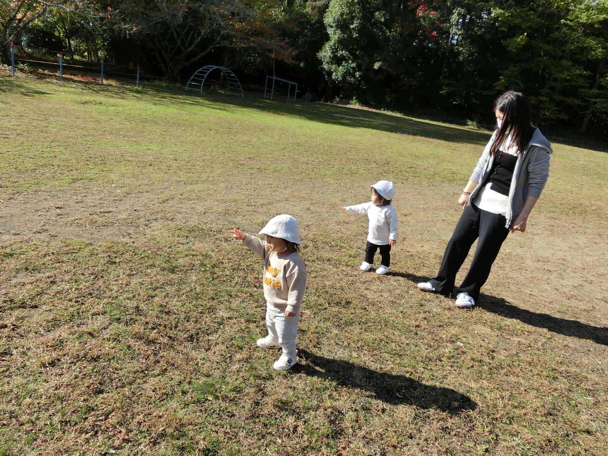 みてみて！あそこになにかあるよ！