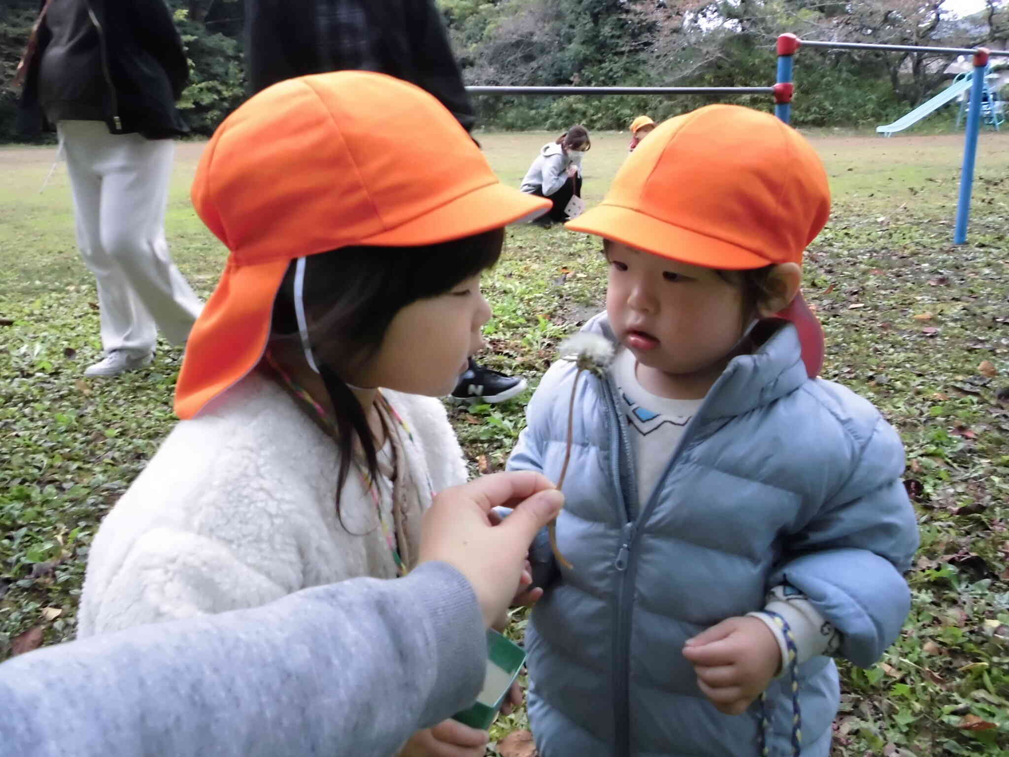 一緒に綿毛飛ばそう♪