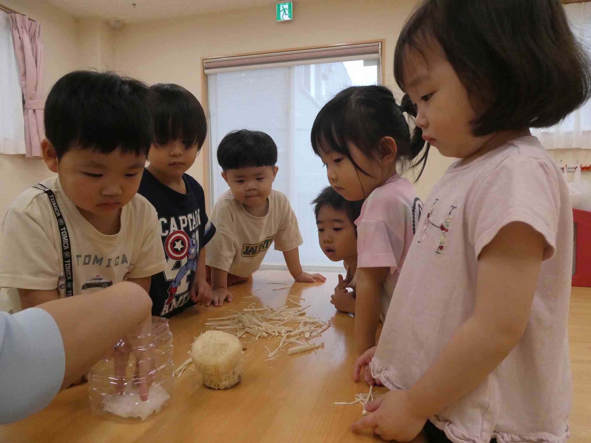 食育　きのこに触れよう♪