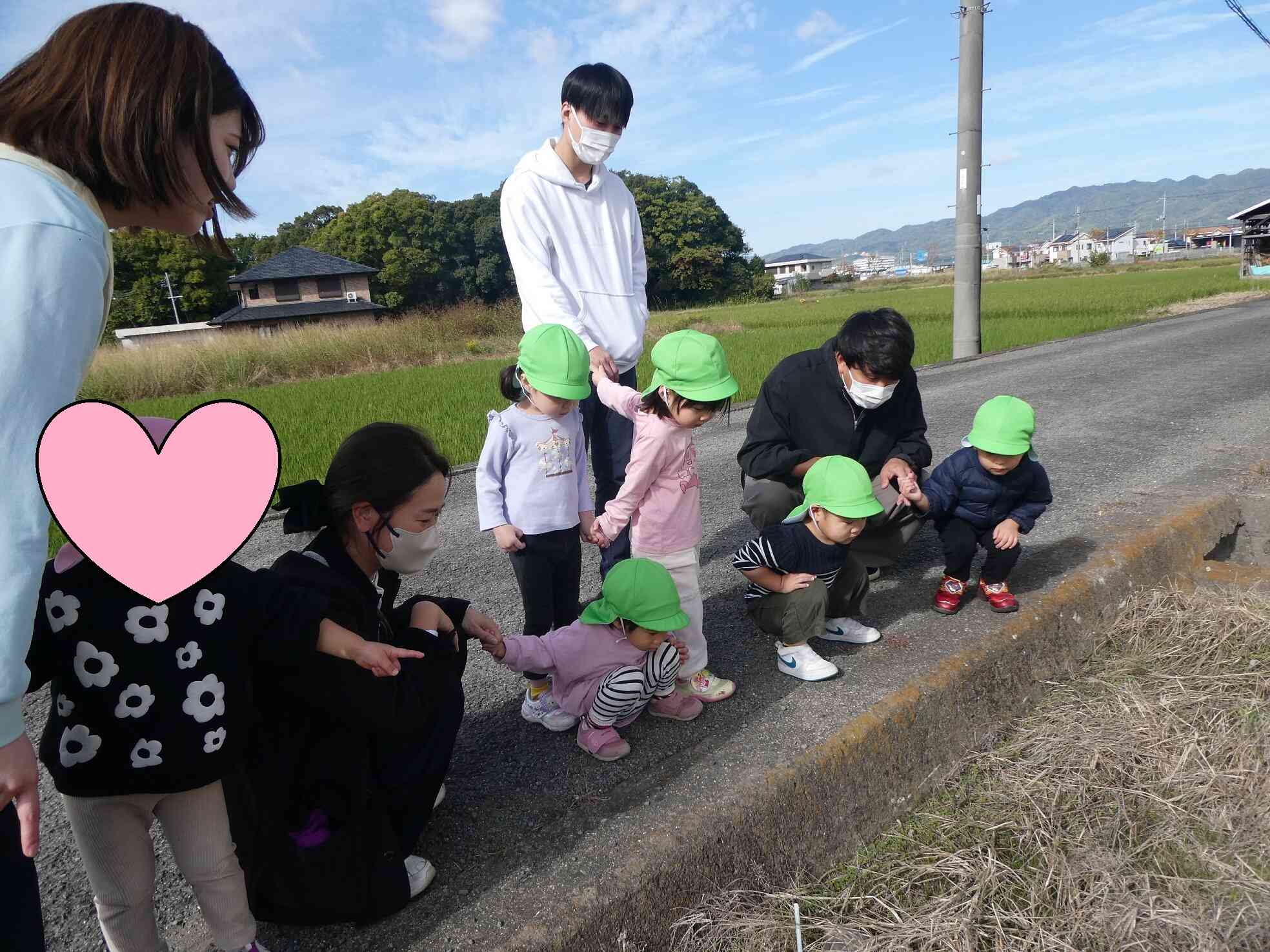 バッタがいたよ☆