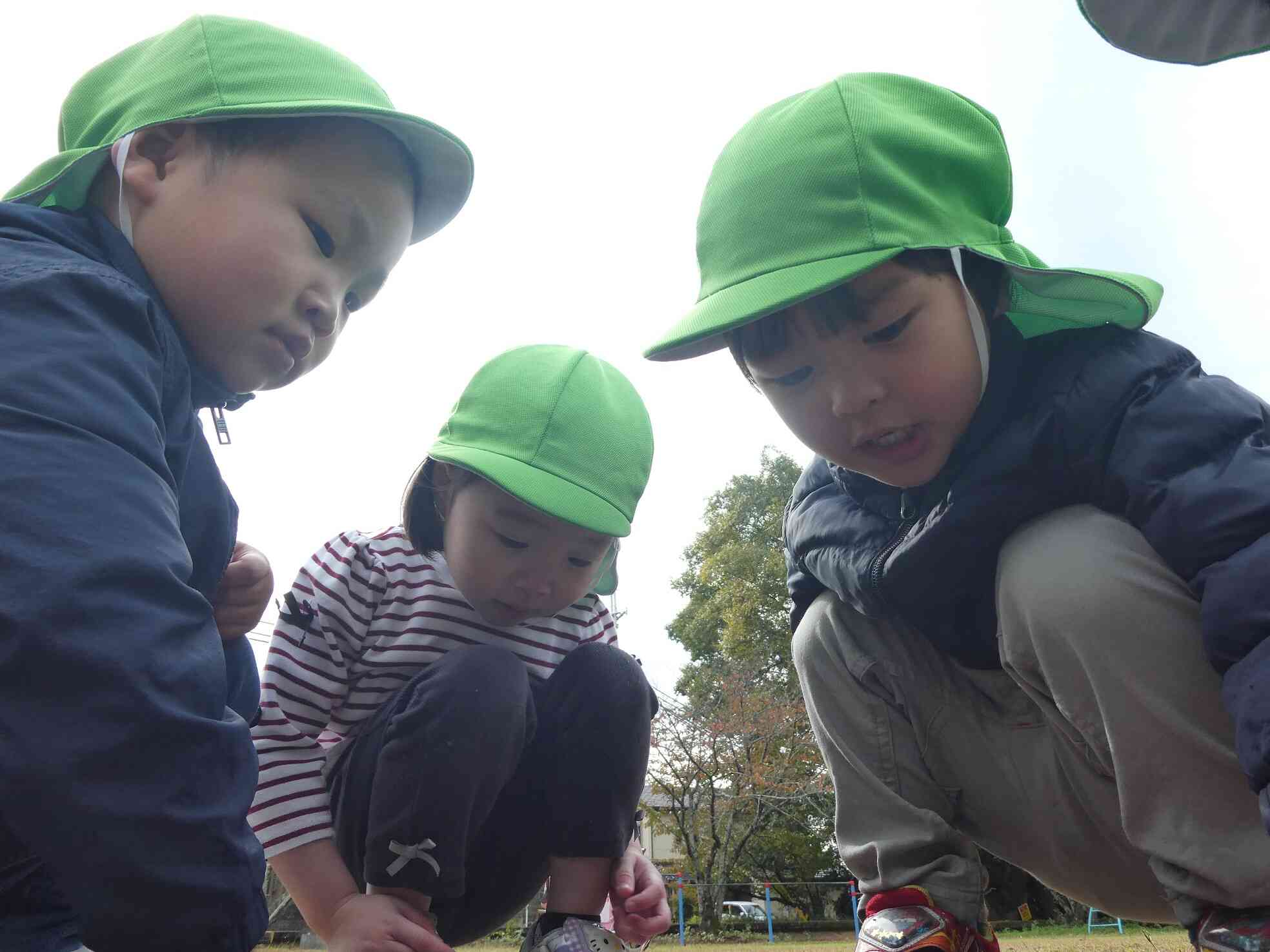 虫さんがいるよ♪