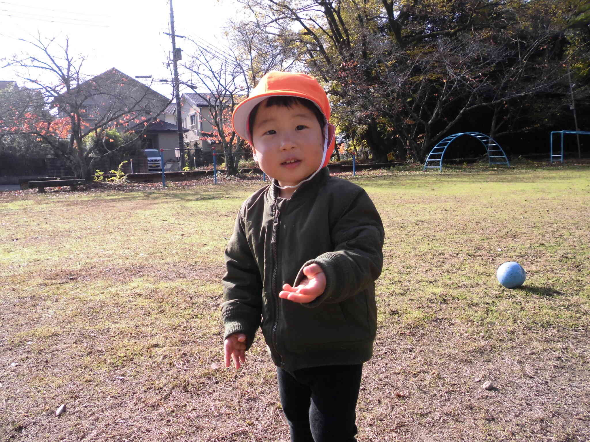 どんぐり落ちちゃった☆