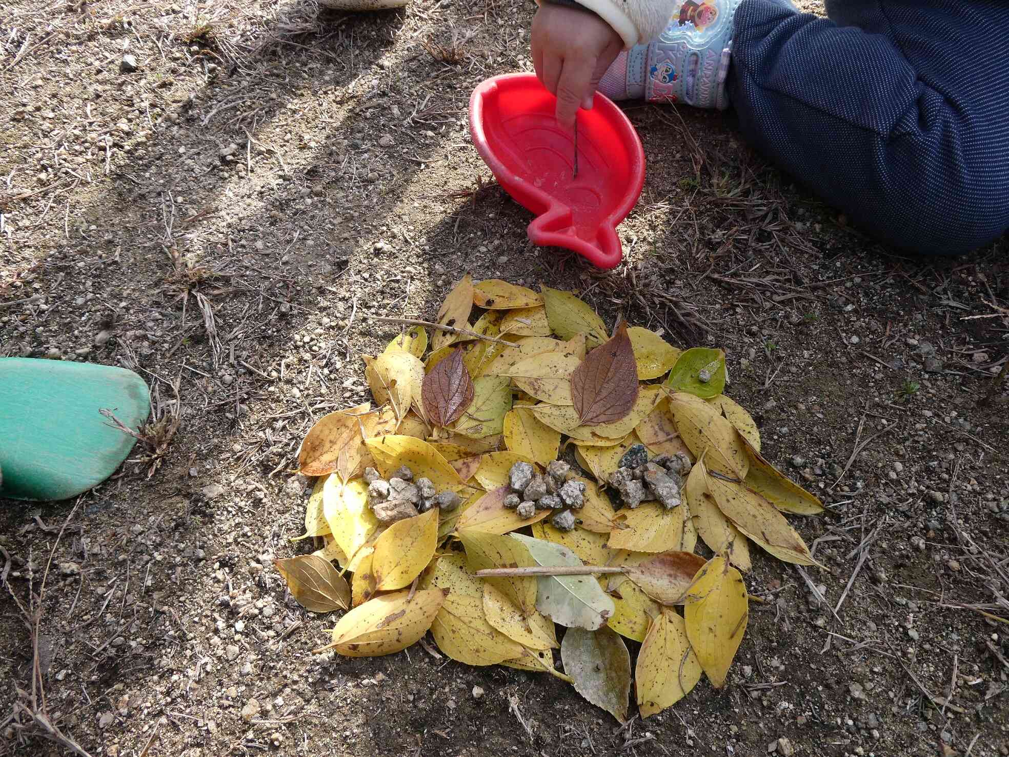 かっこいいでしょ☆