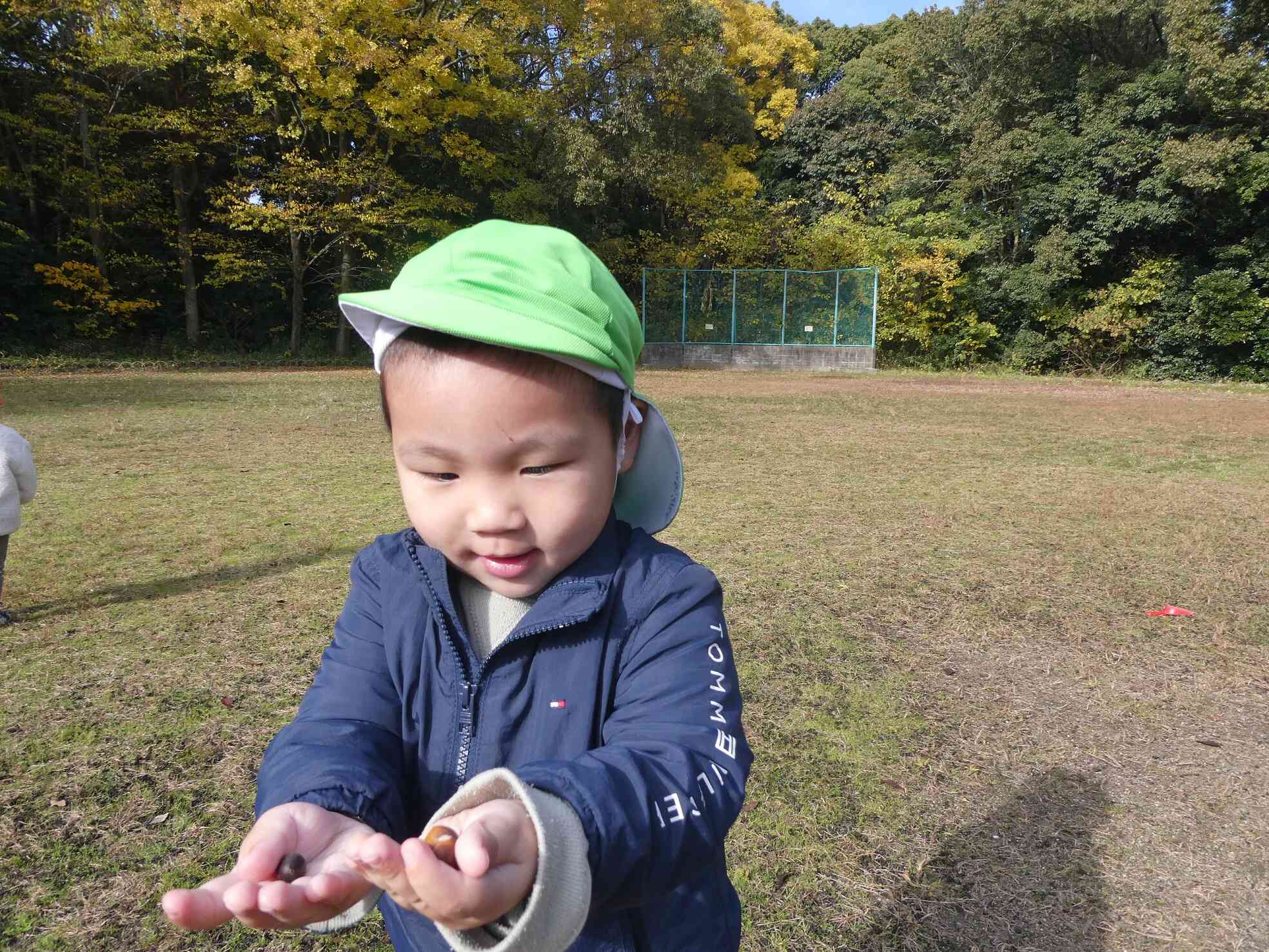 見て!どんぐりかわいいよ♡