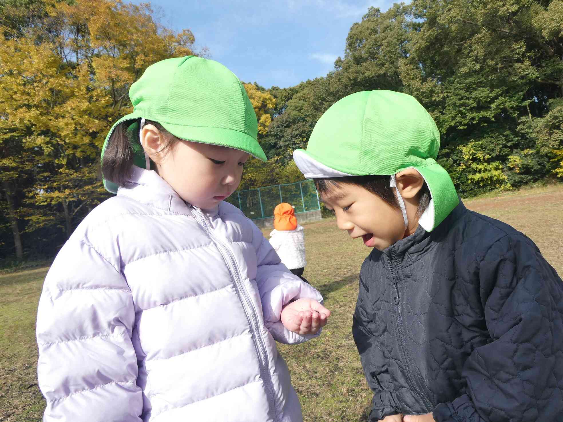 どんぐりいっぱーい！