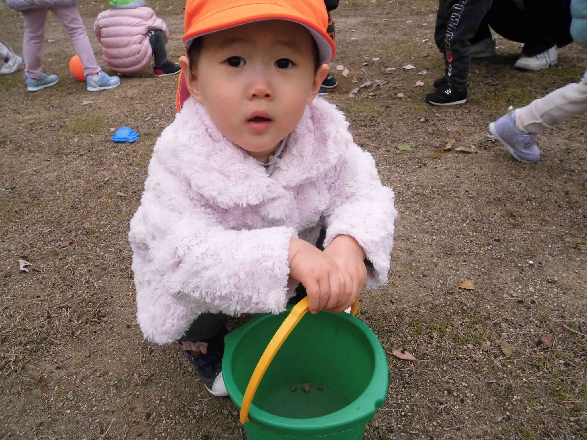 えっさ、ほいさっ