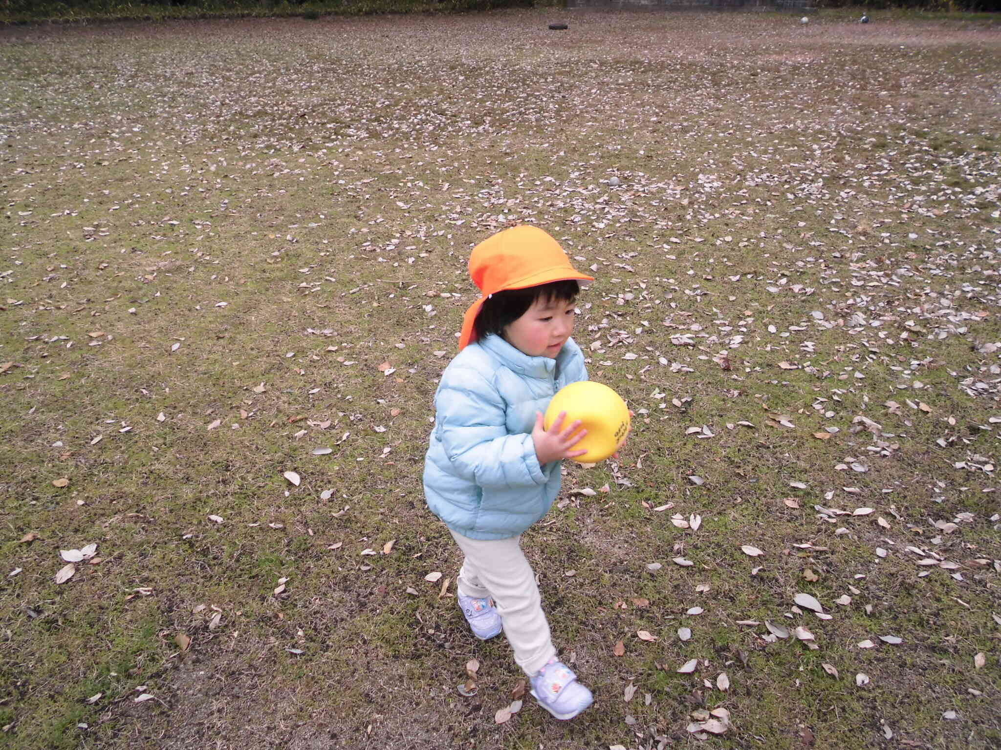 ボールを持って走るよー！！