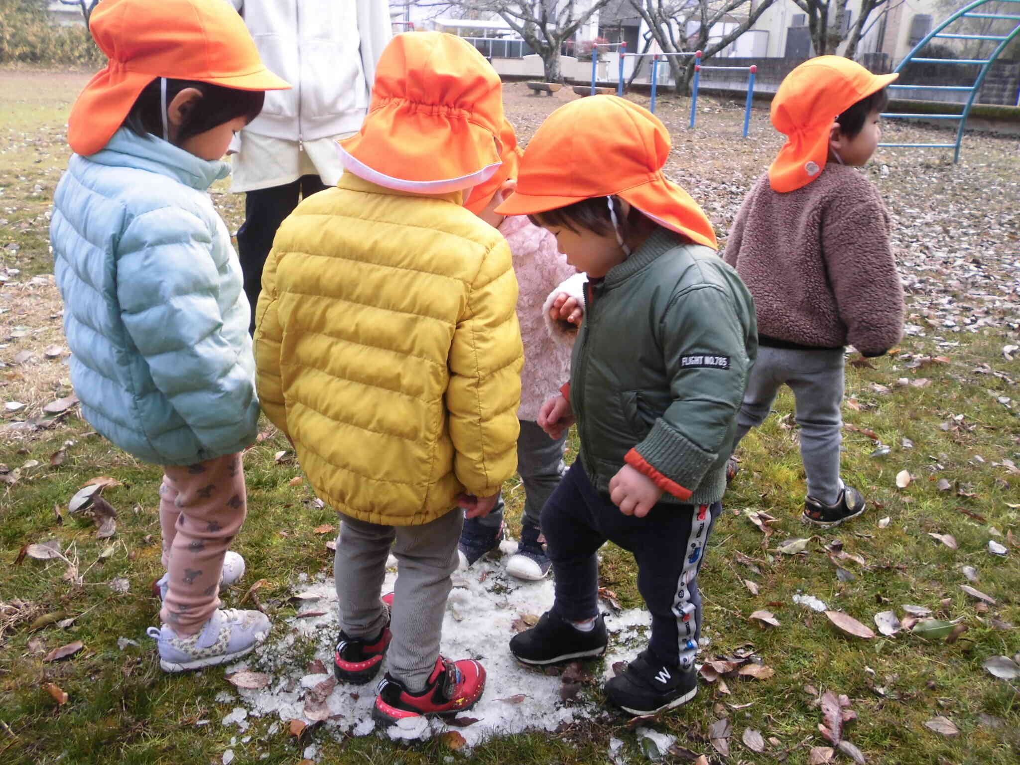 公園でも・・・