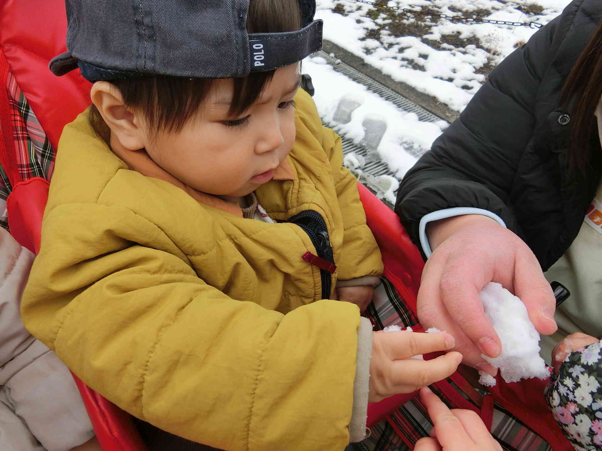 うわっ！！崩れた！！
