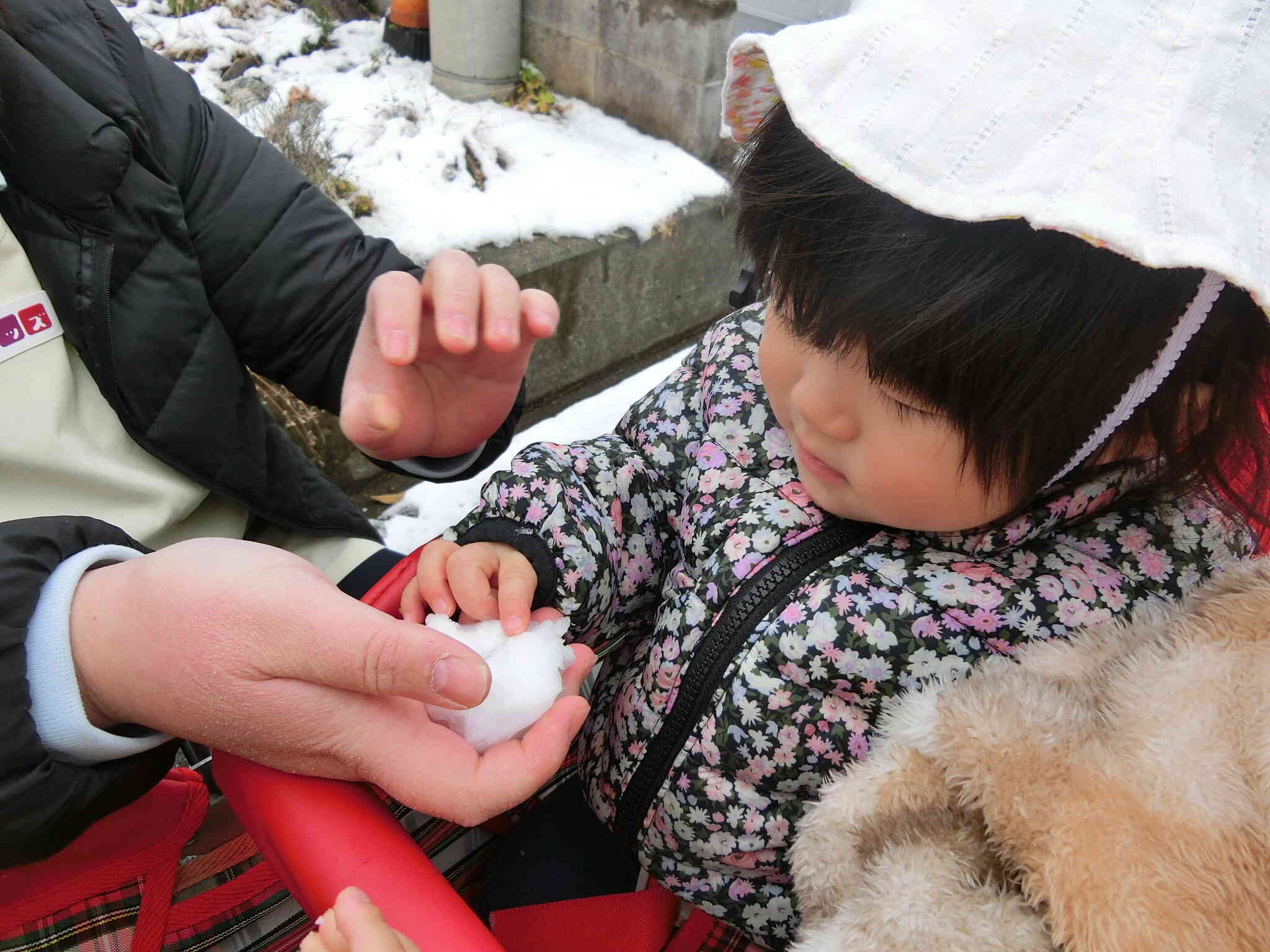指先でツンツン♪