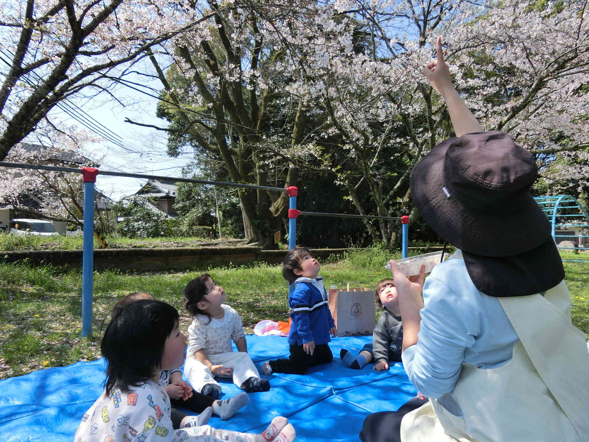 うさぎ組　お花見♪