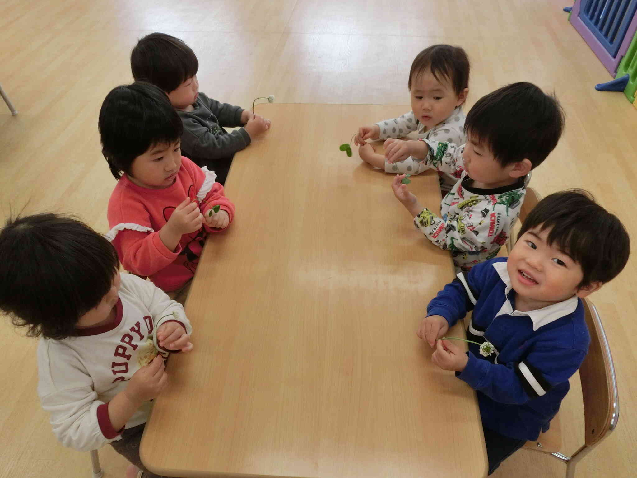 うさぎ組　春の植物②