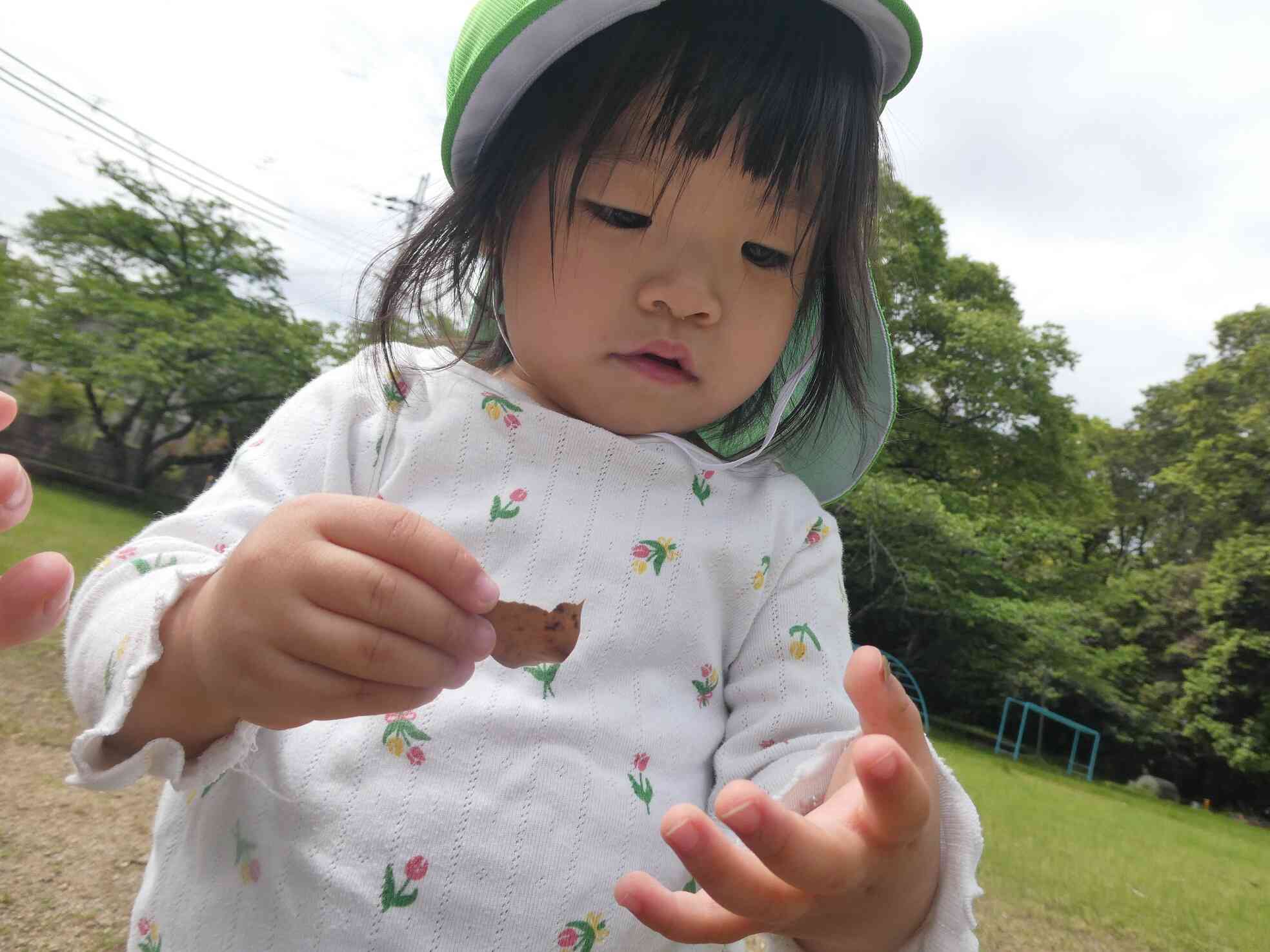 みーつけたっ！