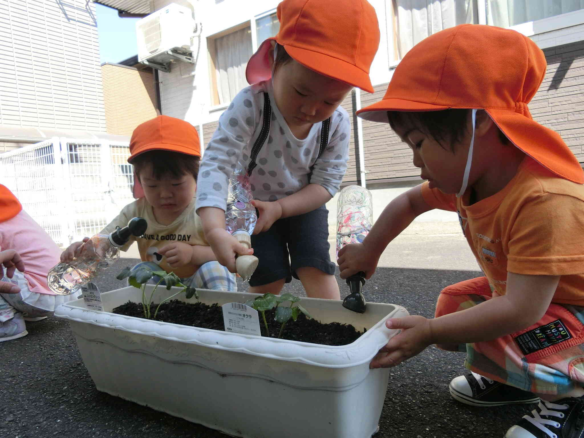 うさぎ組　初めての苗植え！②