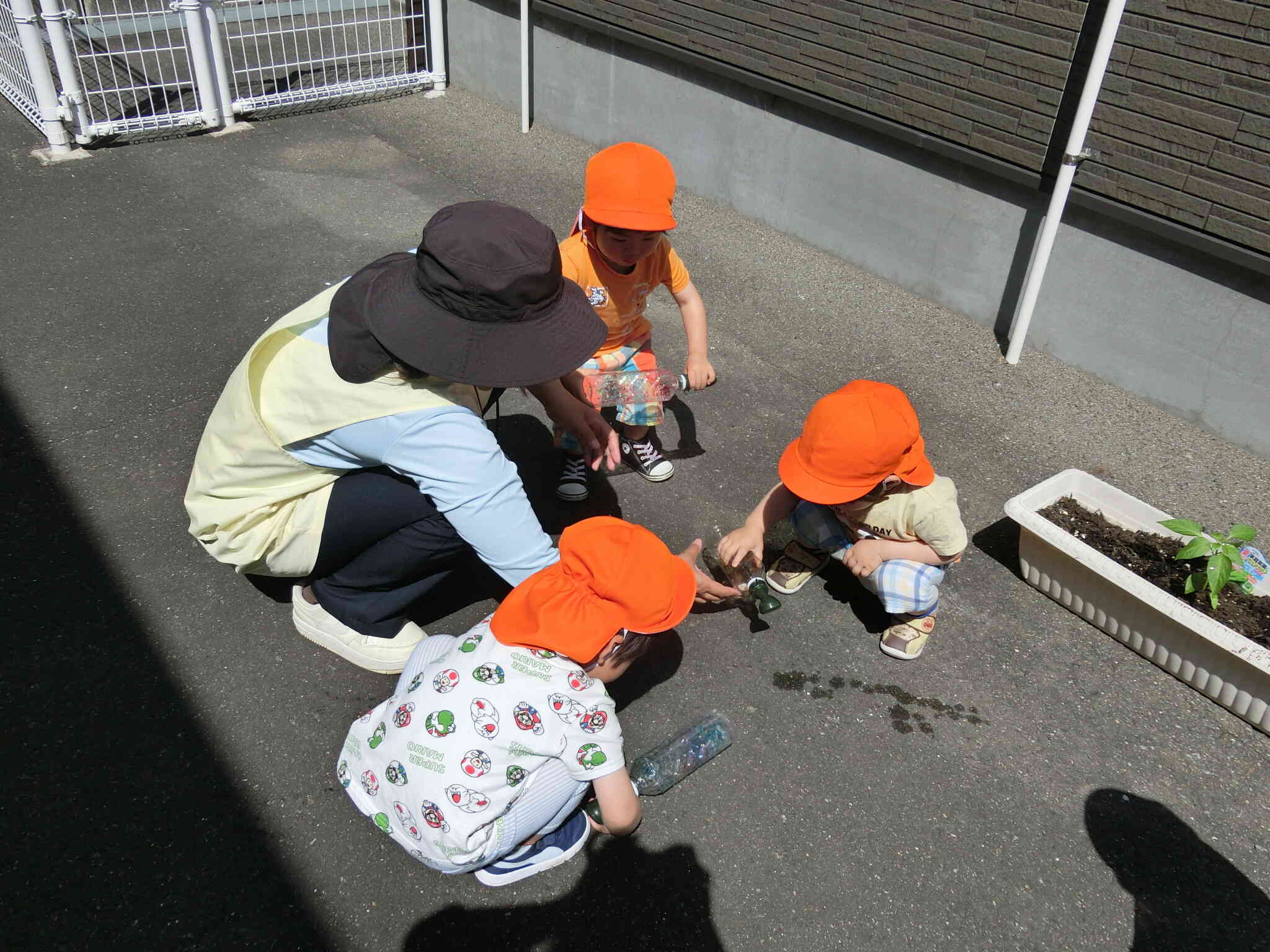 うさぎ組　苗植えの後は？