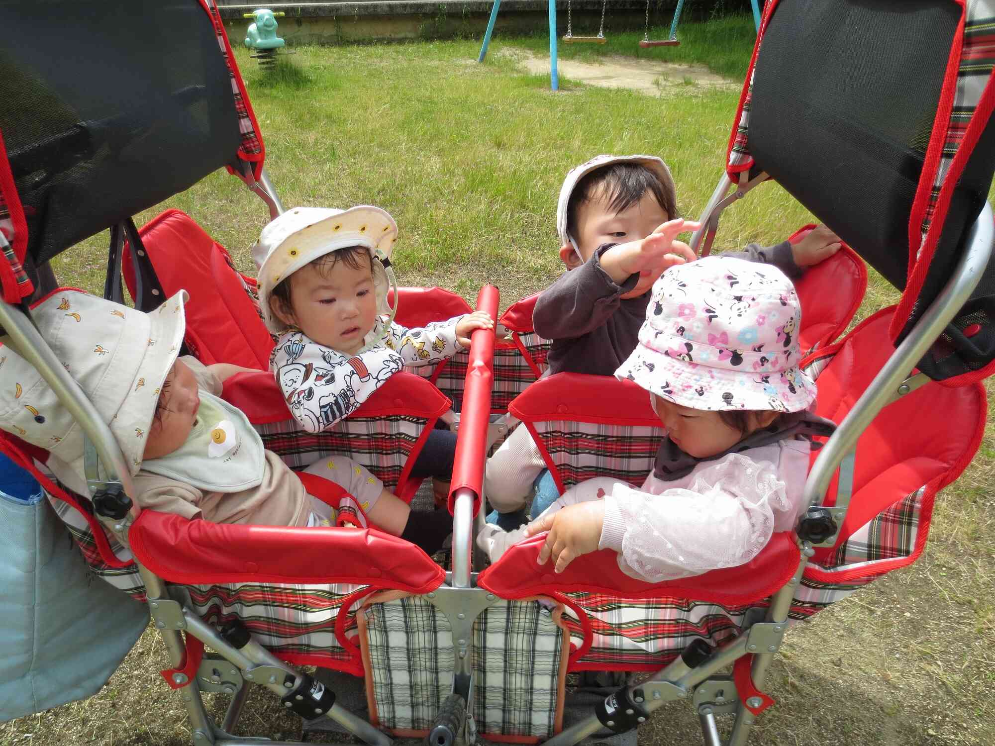 ひよこ組 公園で遊んだよ！｜ニチイキッズきのかわ保育園｜ニチイキッズ