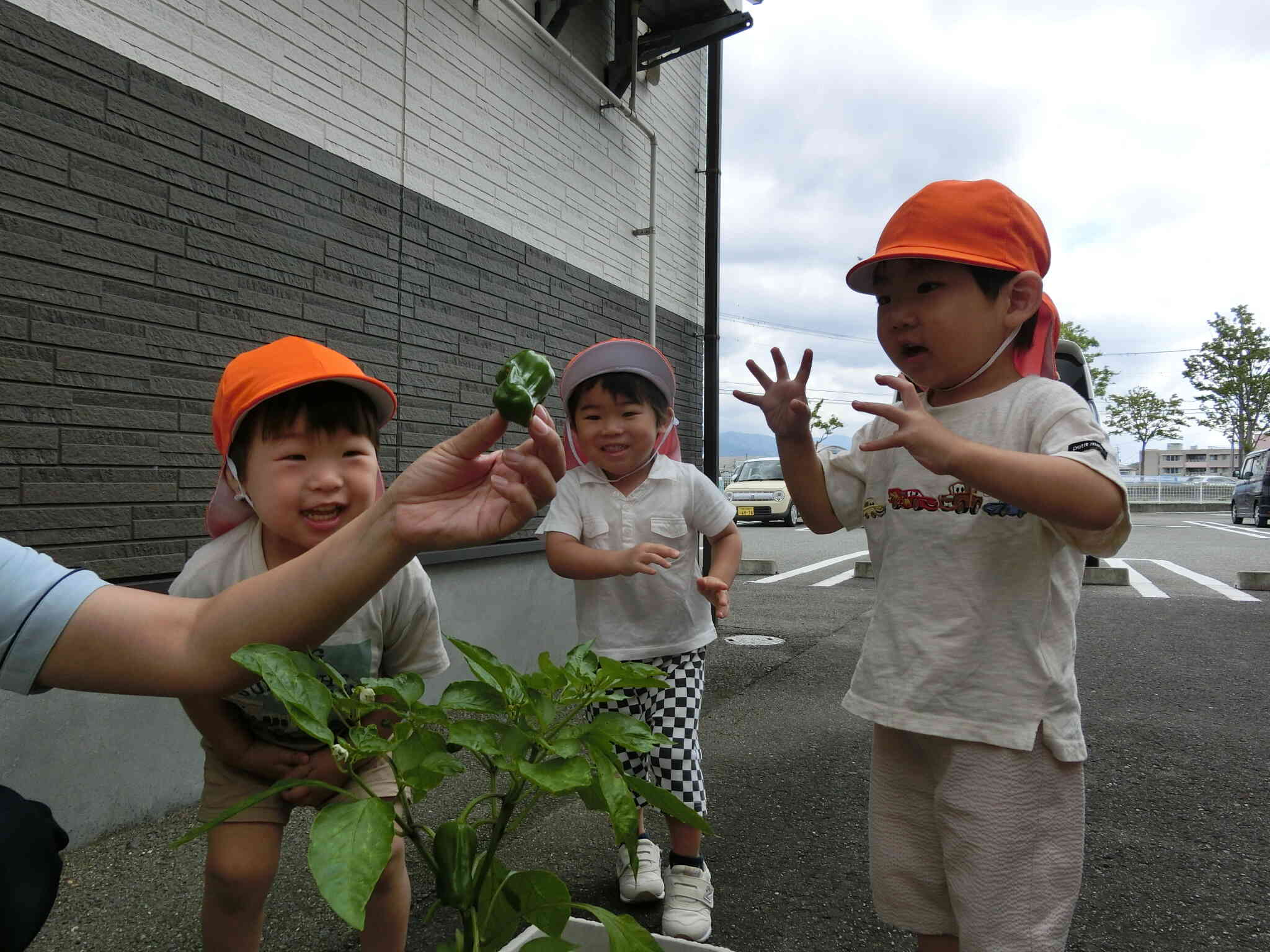 うさぎ組　大きくなってる！！