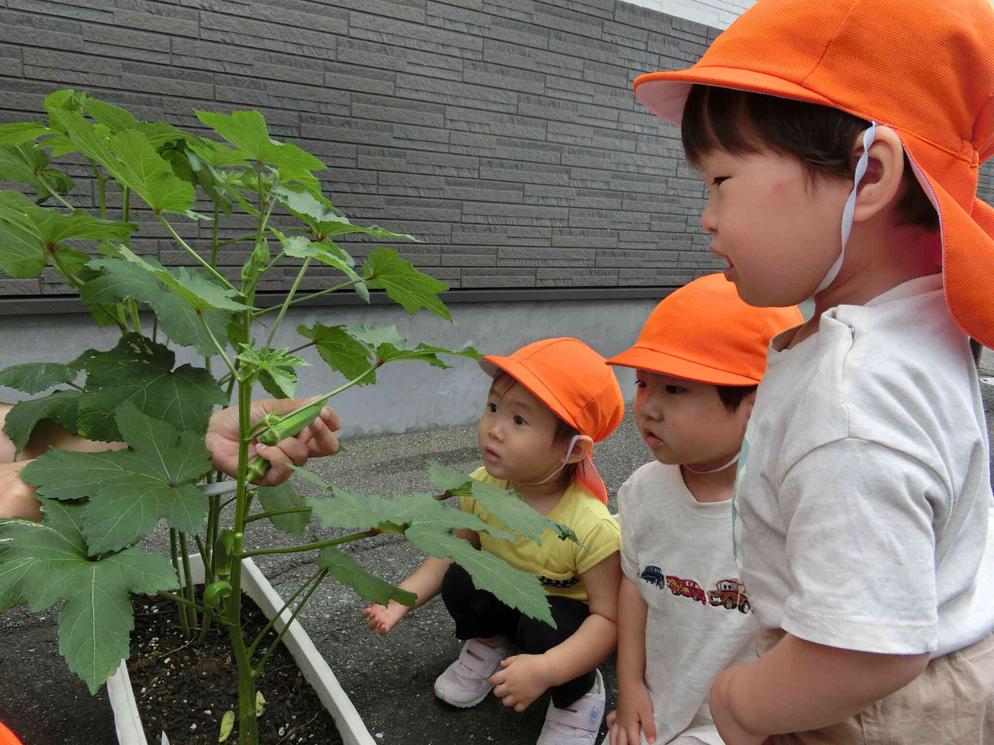 こっちはどうかな？