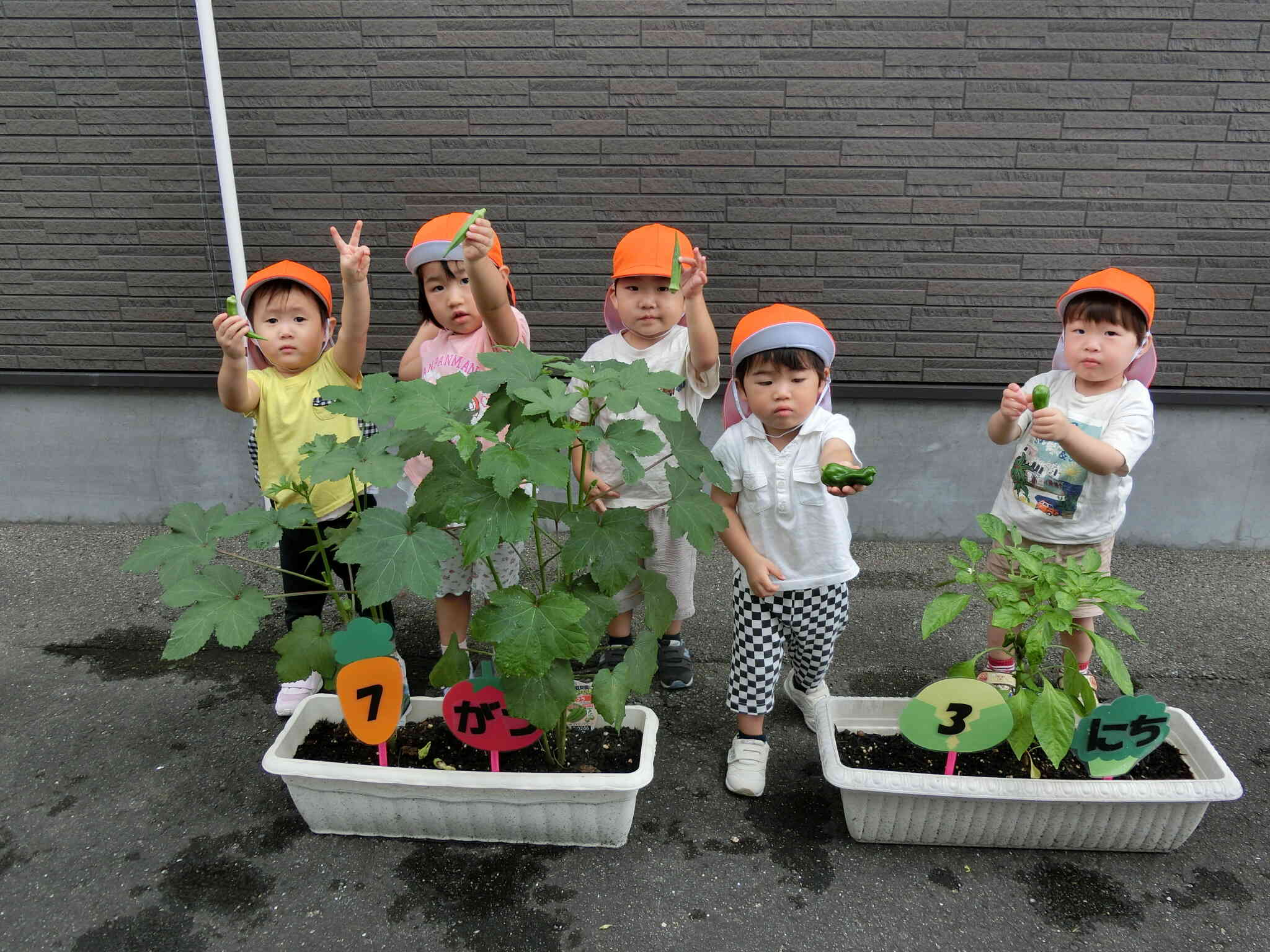 一緒に大きくなろうね♡