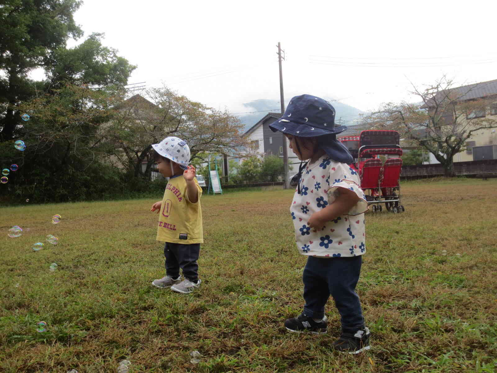 わあ！待て待てー