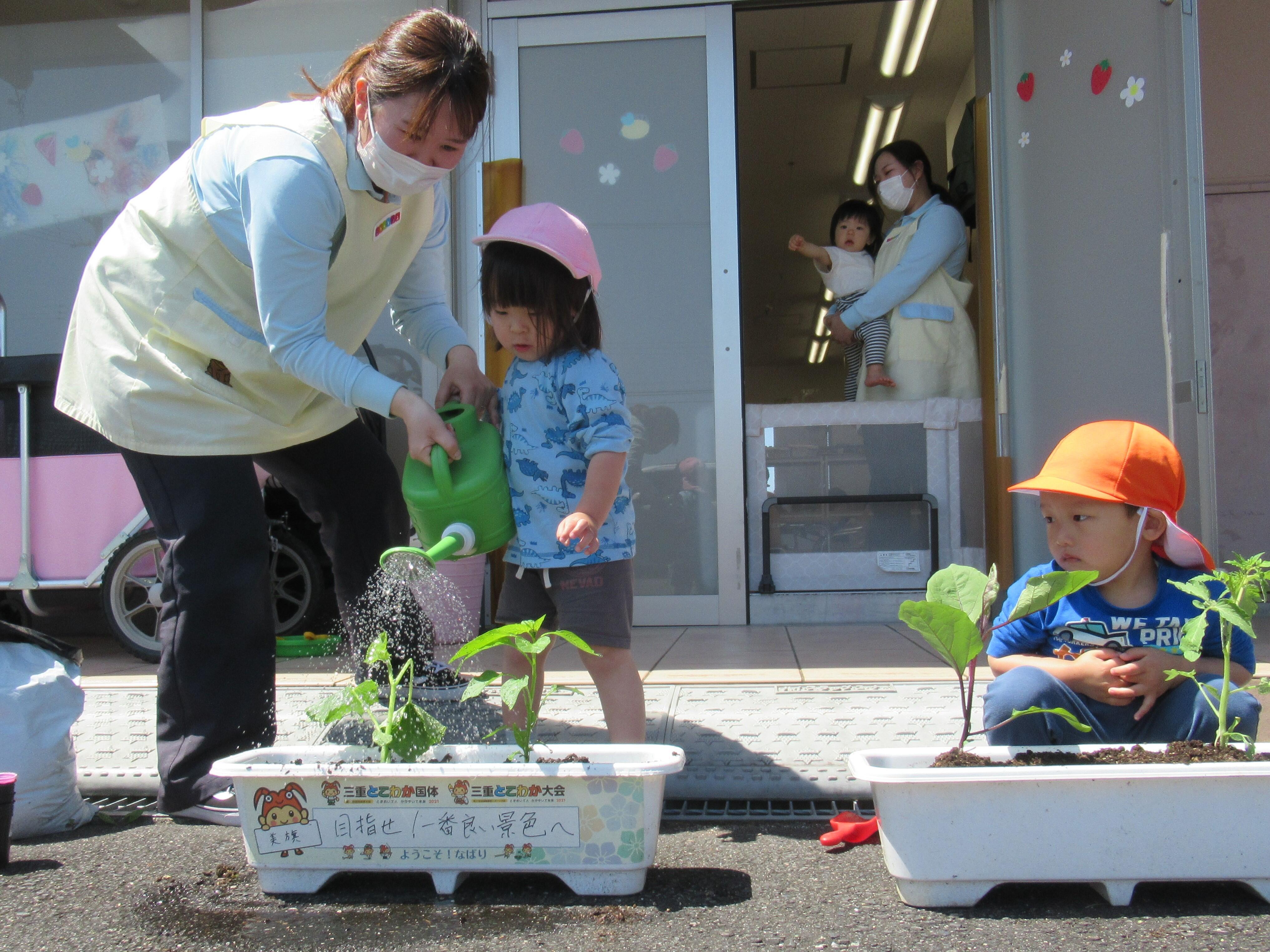 「大きくなってね！」とお水をあげました。