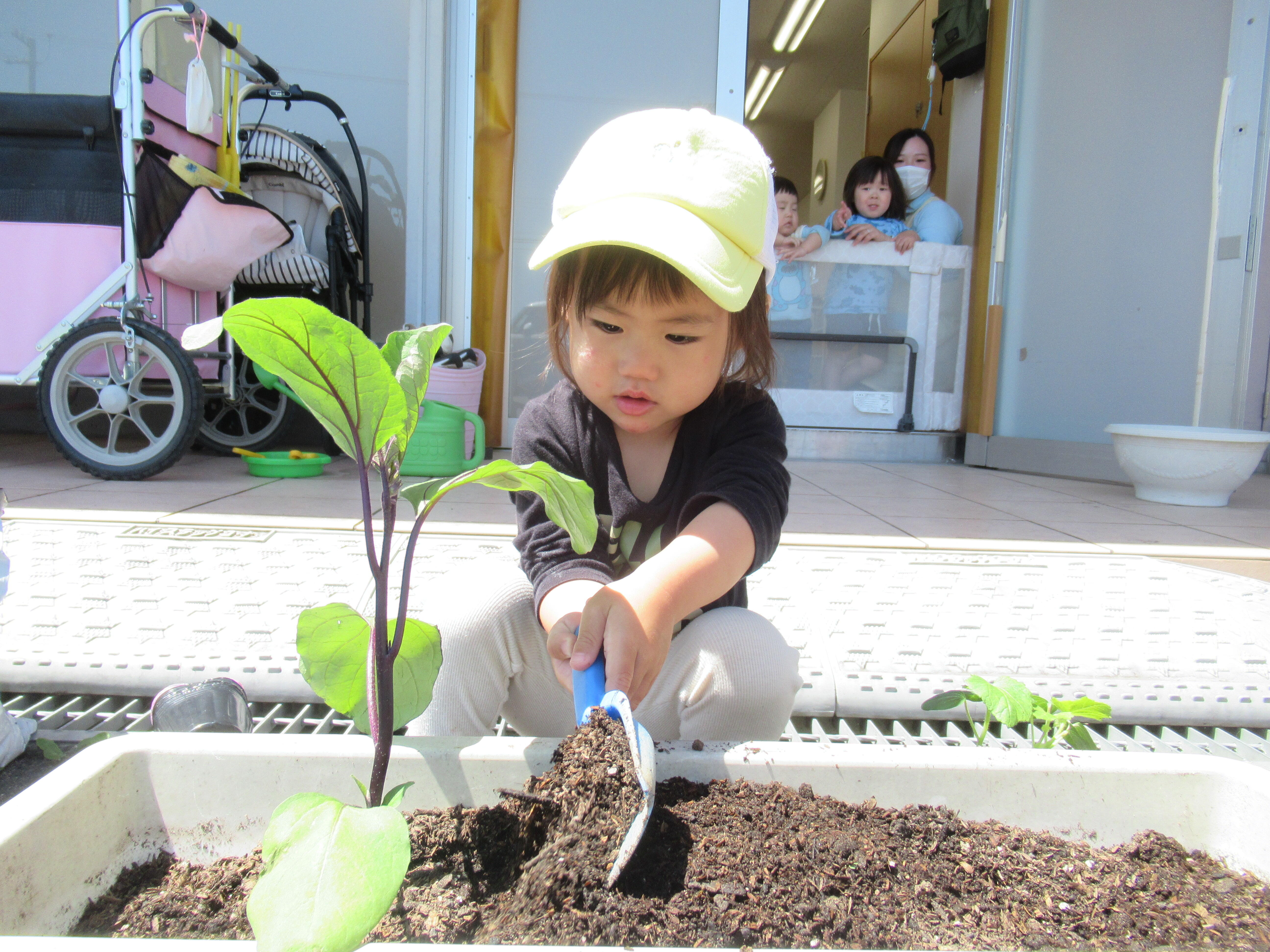 「ぼくは、なすびを植えるよ！」