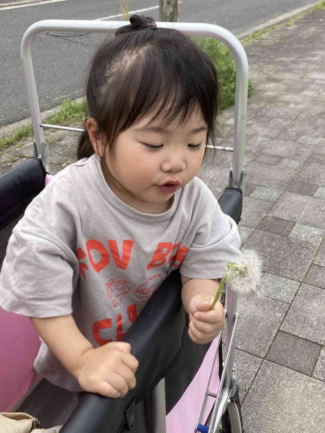 「わたげをふぅ～」
