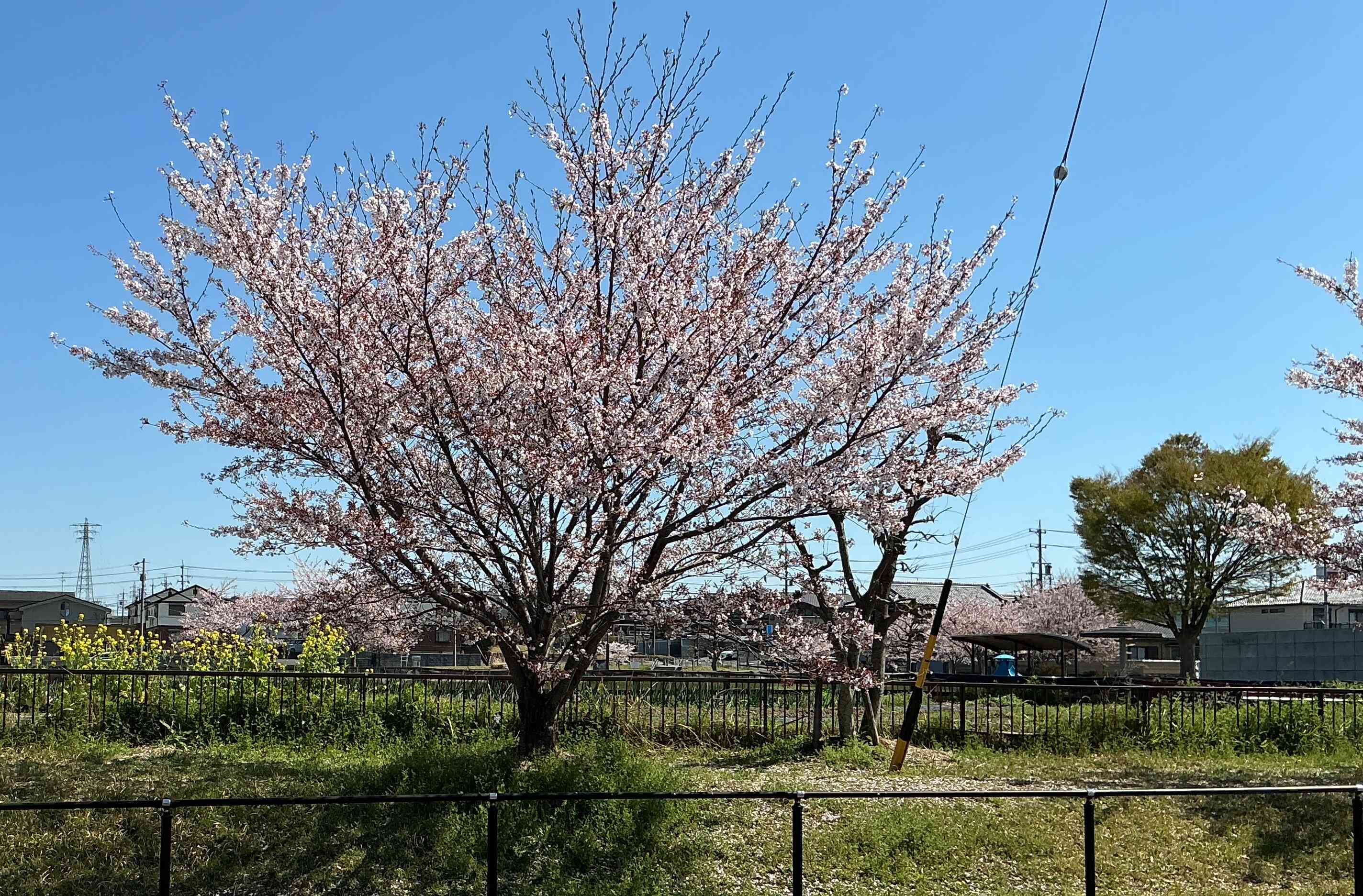 ２０２６年度がスタートいたしました！