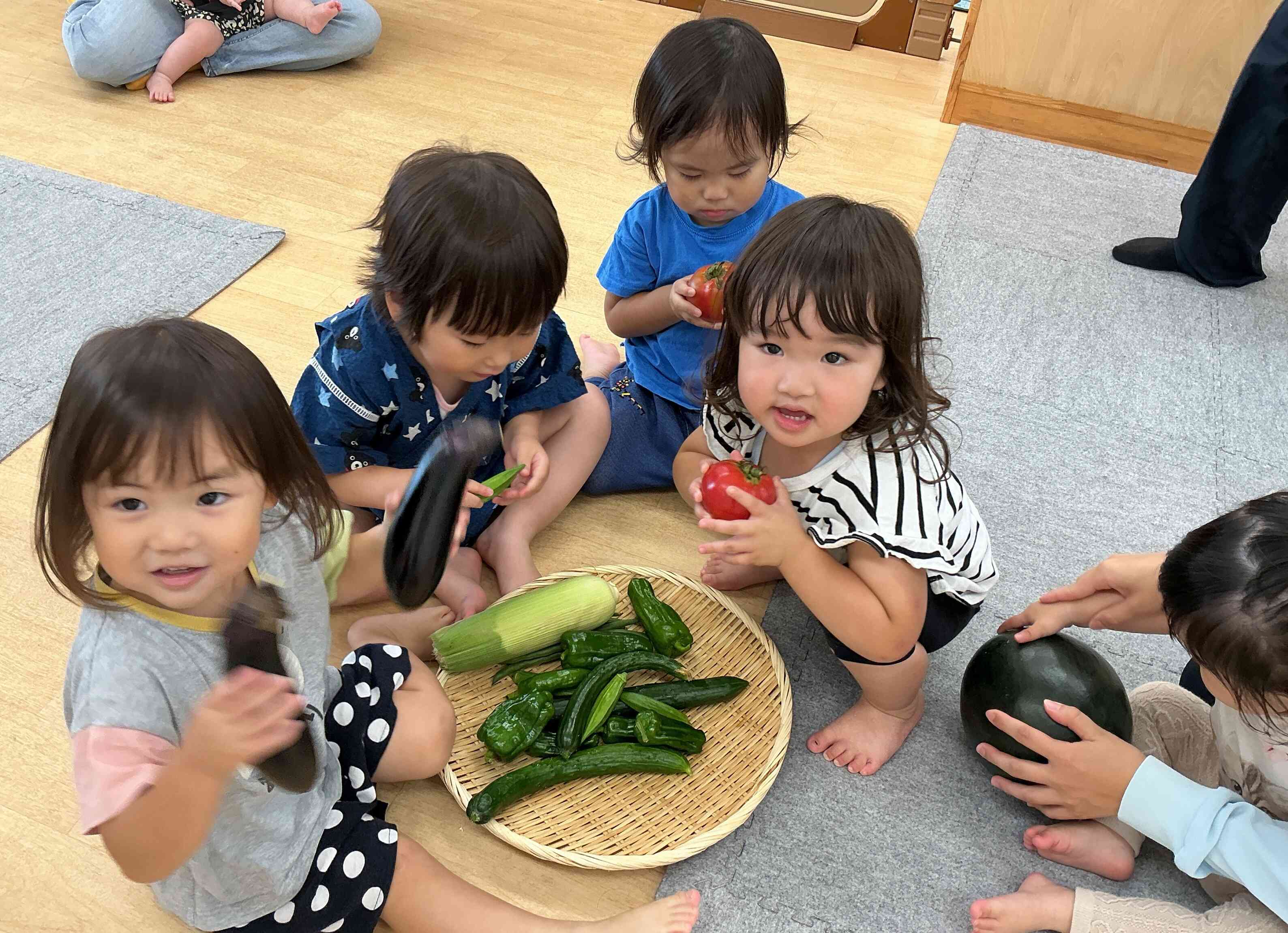 いろんな夏野菜に触れてみました!!