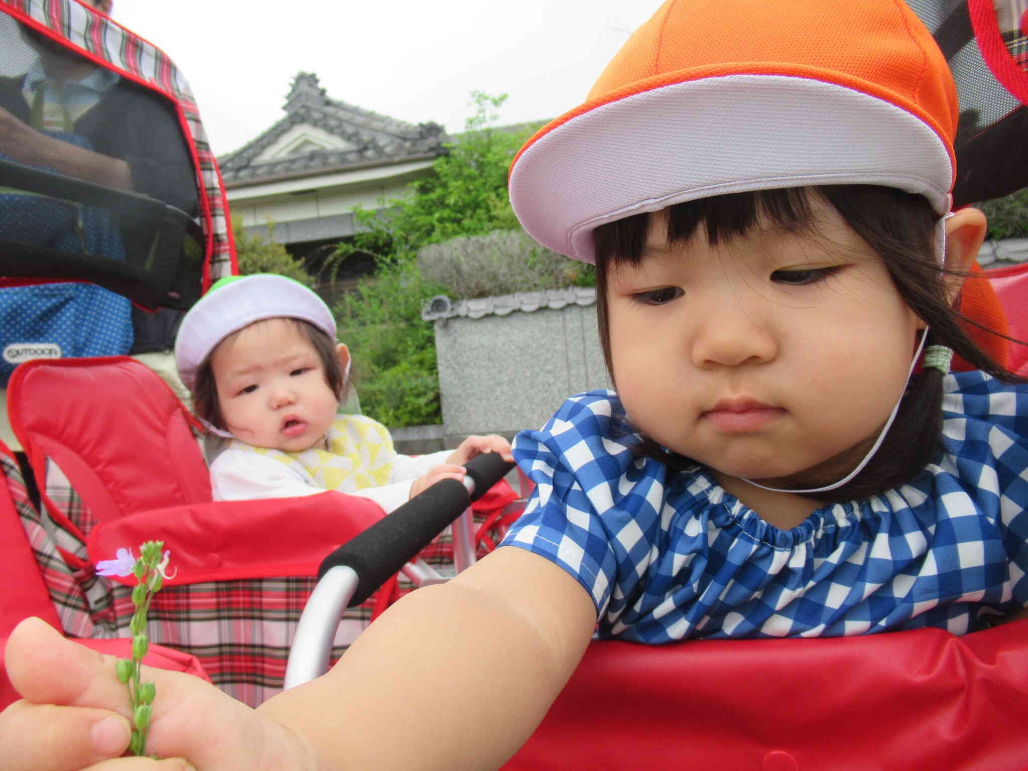 おさんぽ｜ニチイキッズきりしま保育園｜ニチイキッズ